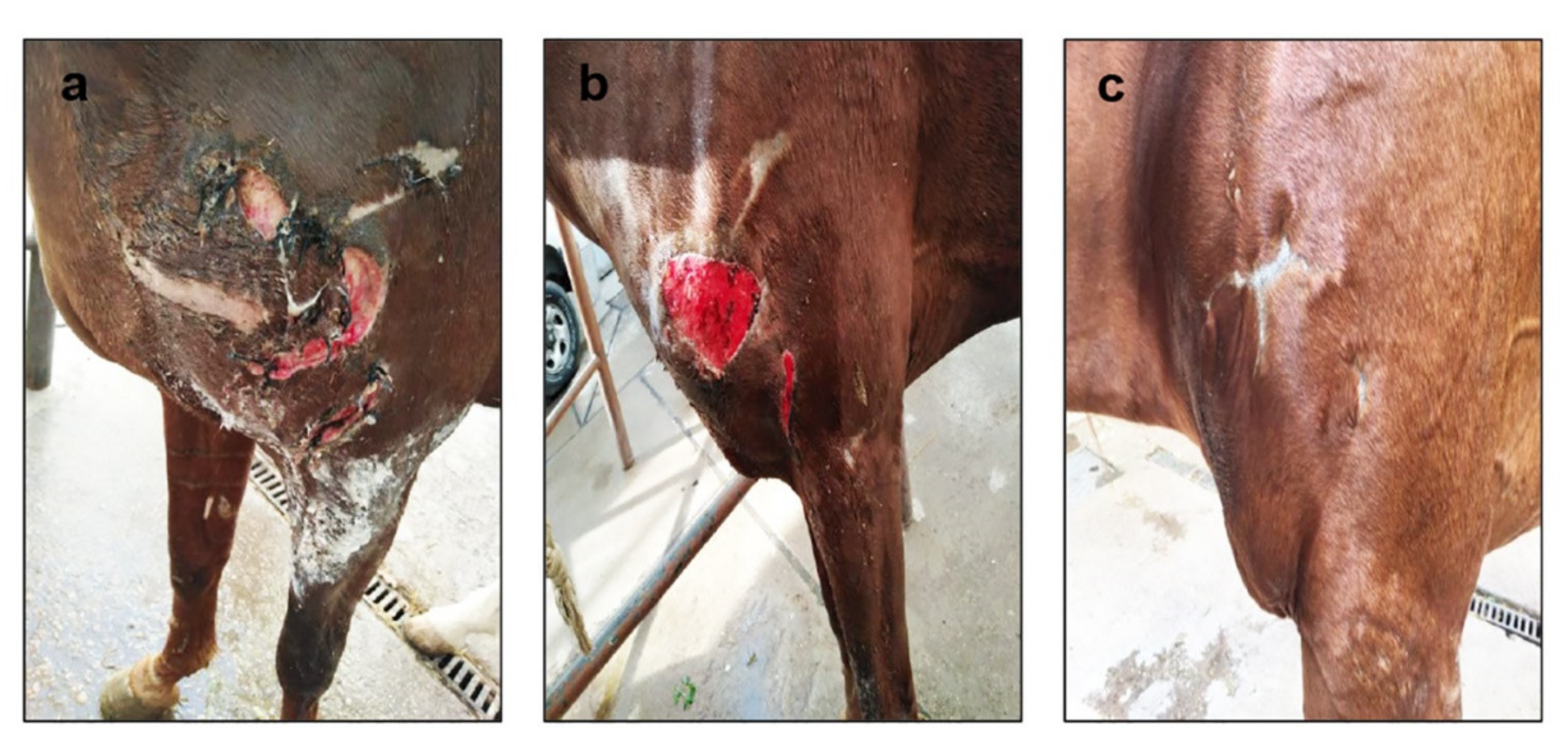 Applsci 12 04121 g009 Applsci 12 04121 g009