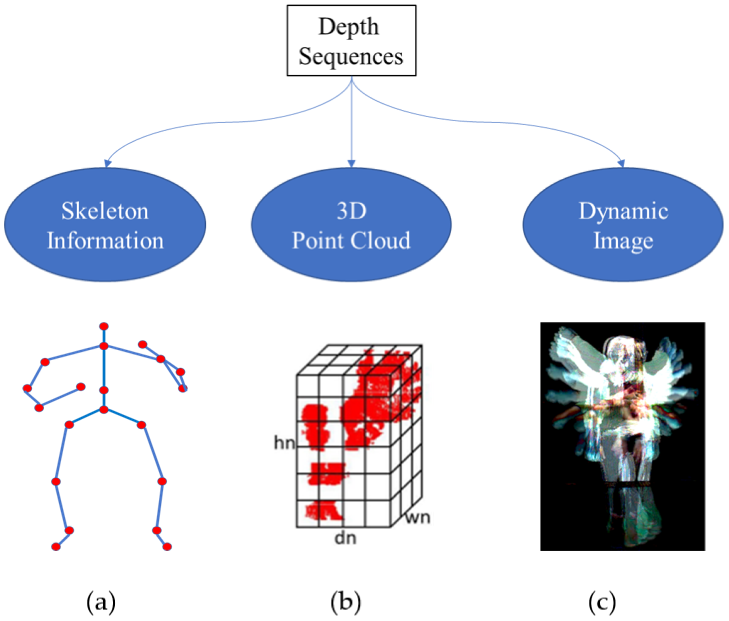 A new 3D descriptor for human classification: application for human  detection in a multi-kinect system