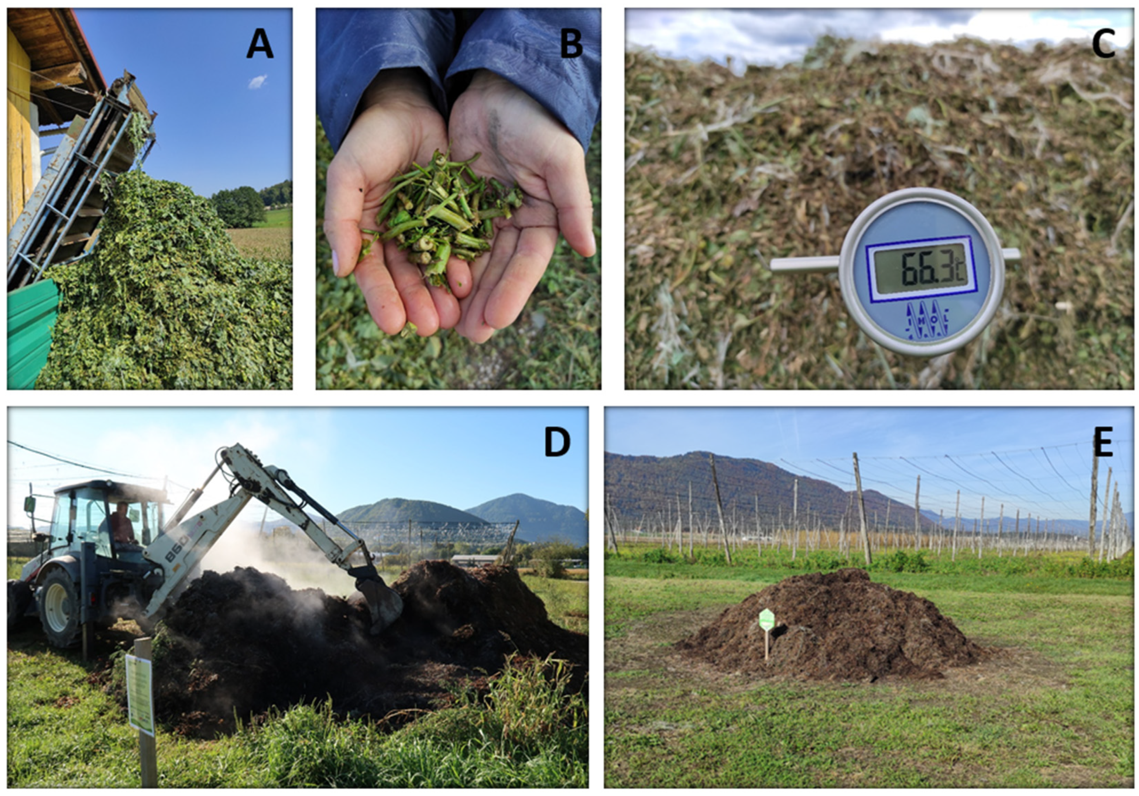 Applsci 12 04190 g001 550