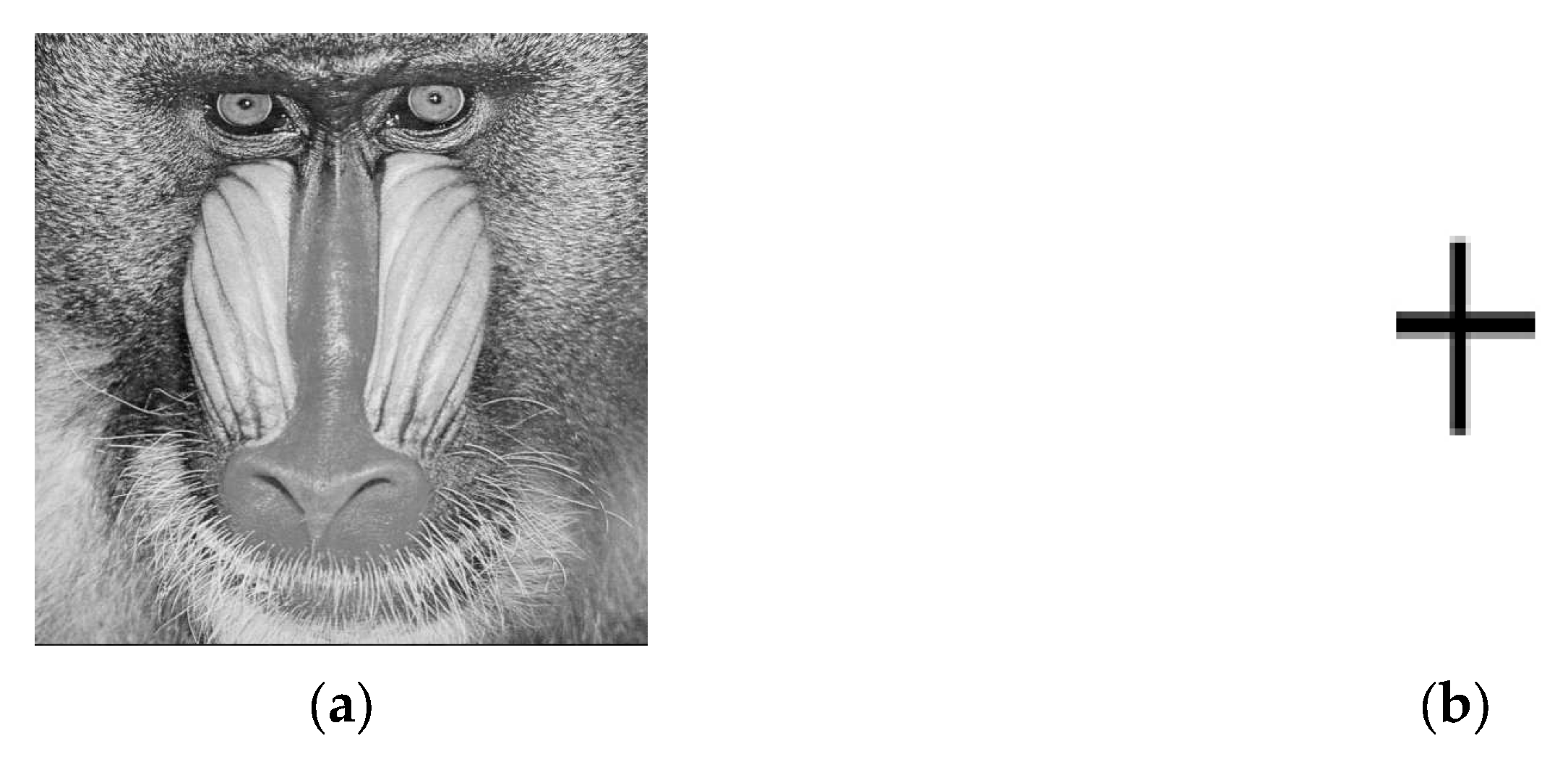 Applsci 12 04202 g006a