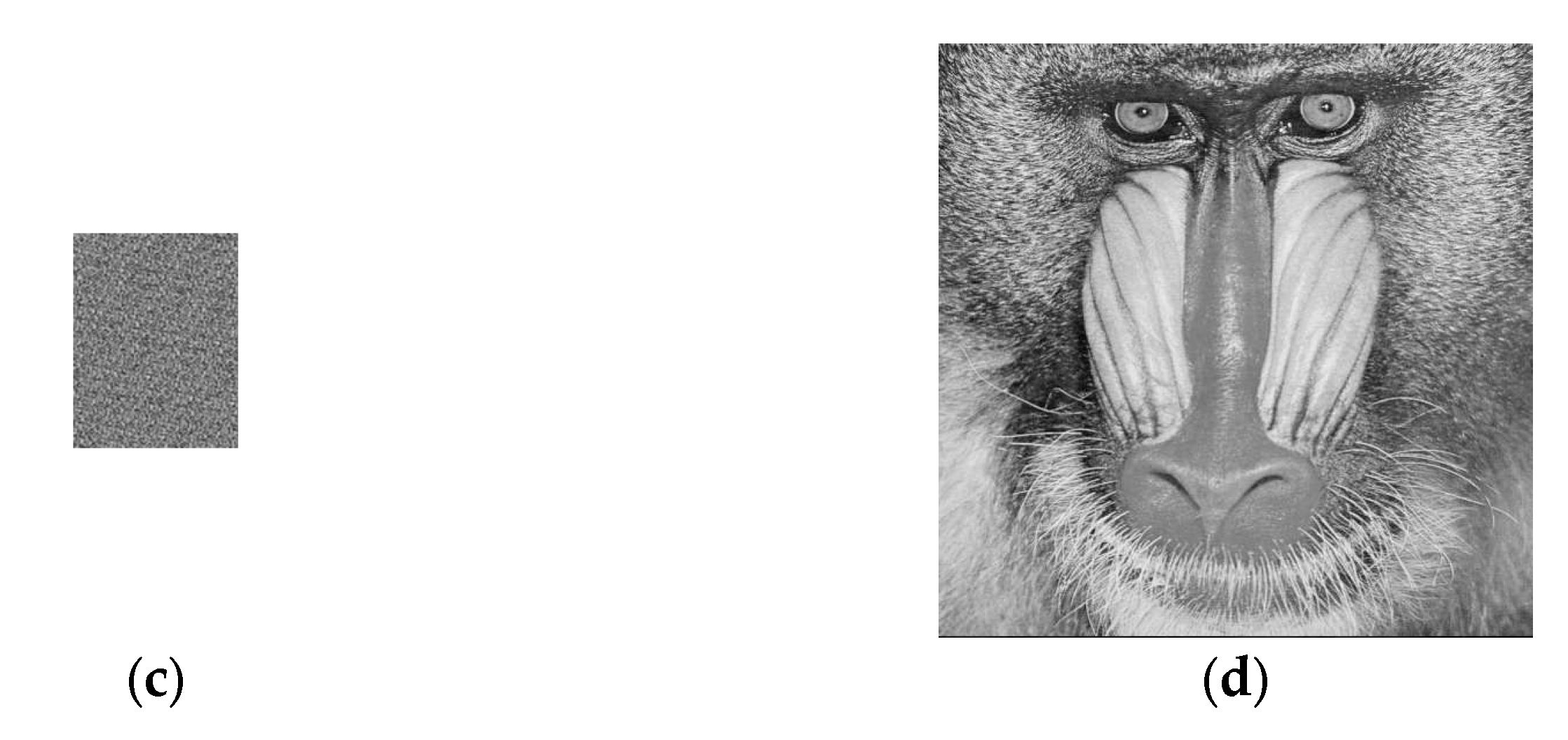 Applsci 12 04202 g006b