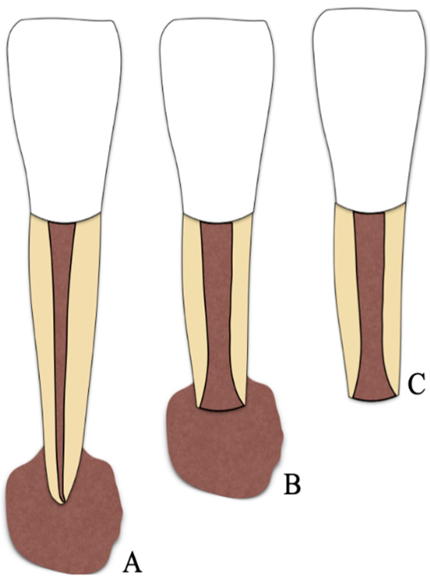 Applsci 12 04212 g002 Applsci 12 04212 g002