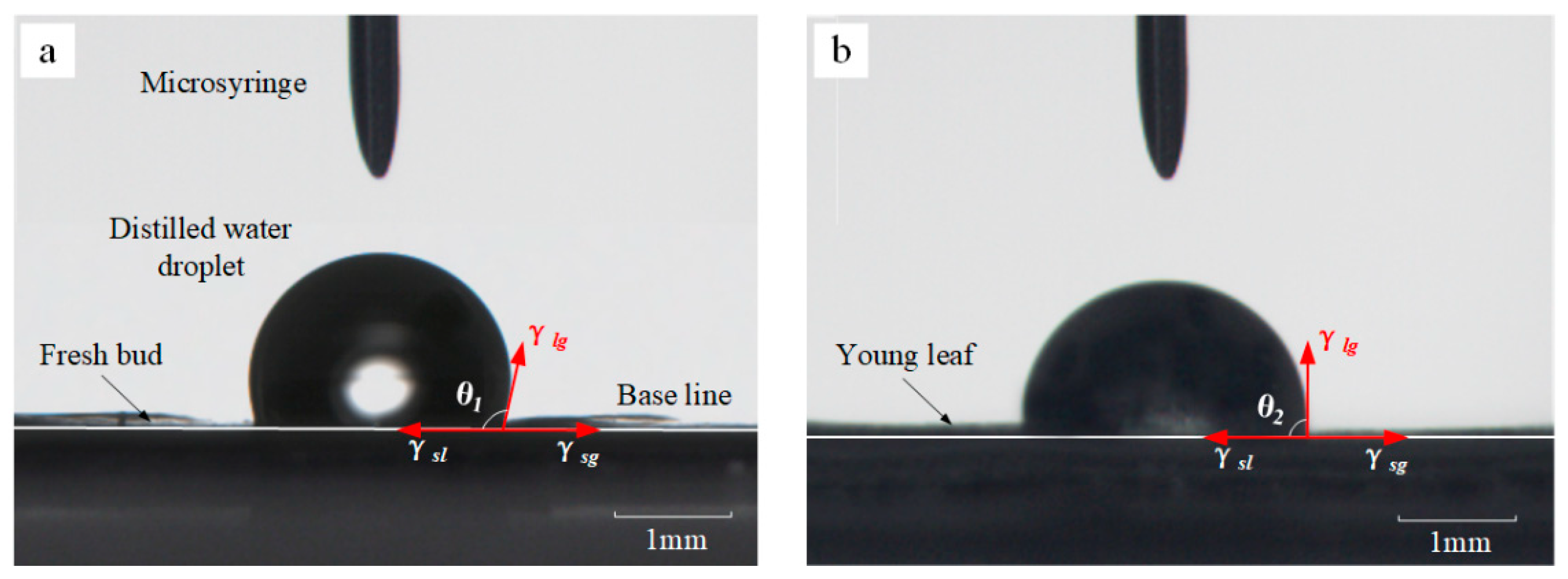 Applsci 12 04217 g004 550
