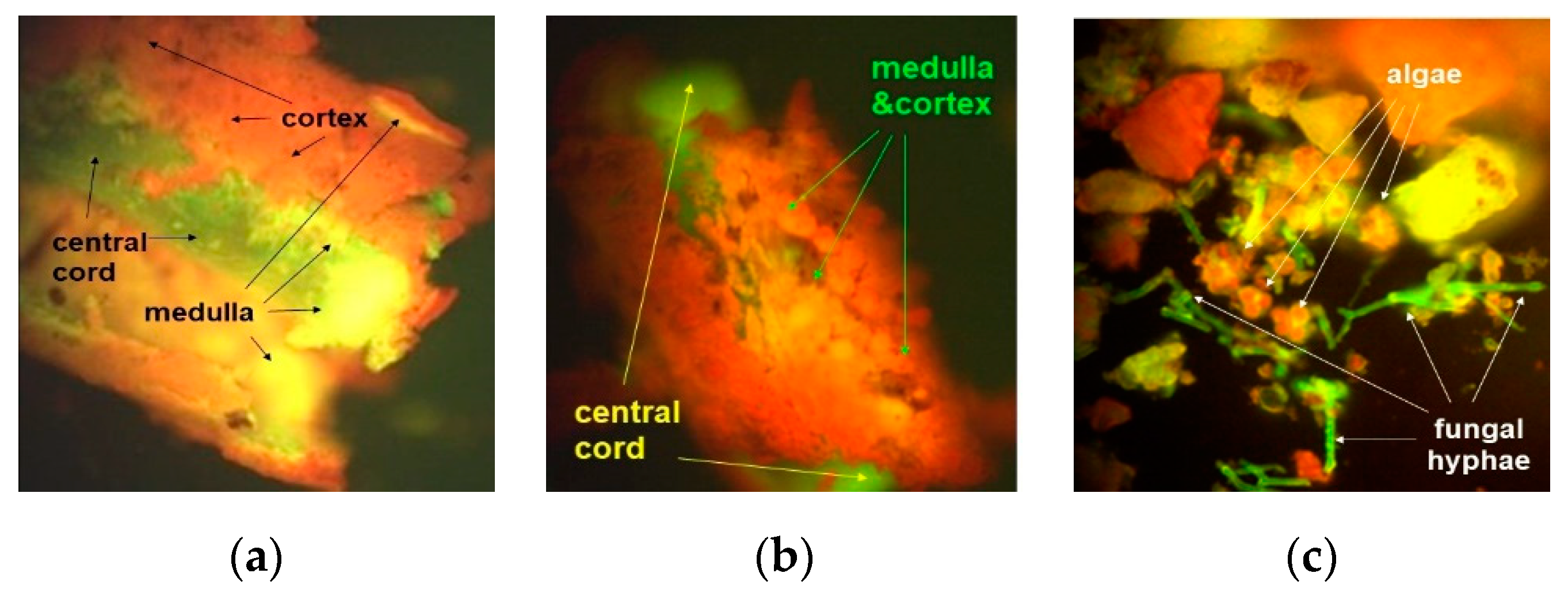 Applsci 12 04234 g002