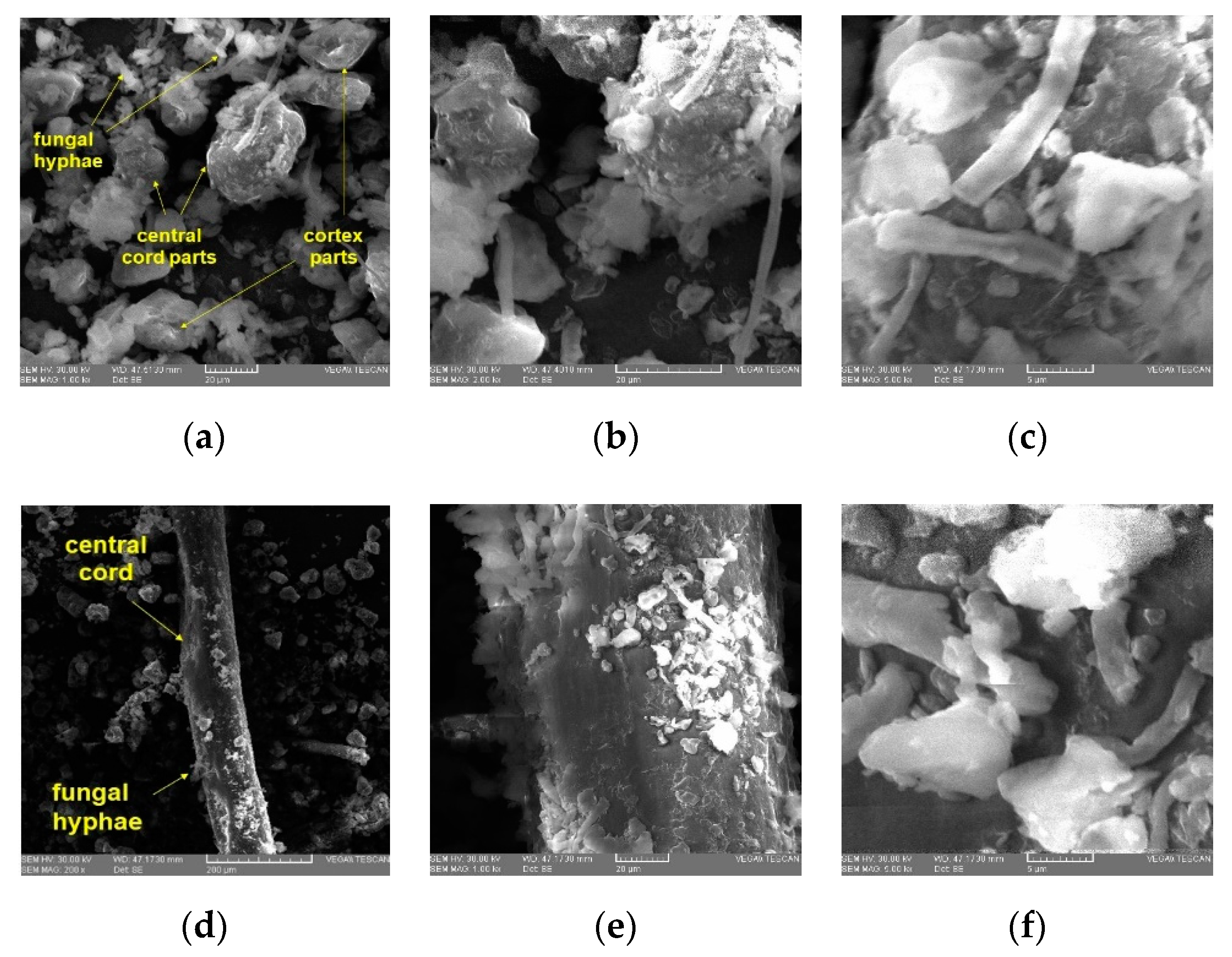 Applsci 12 04234 g004