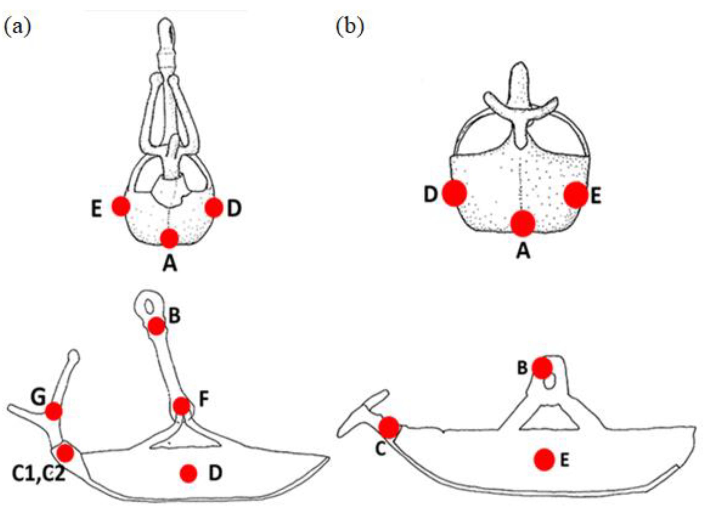 Applsci 12 04237 g010