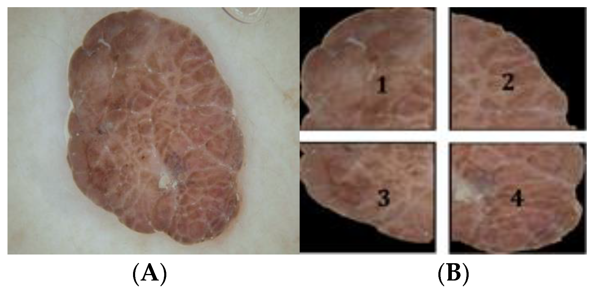 Applsci 12 04243 g005