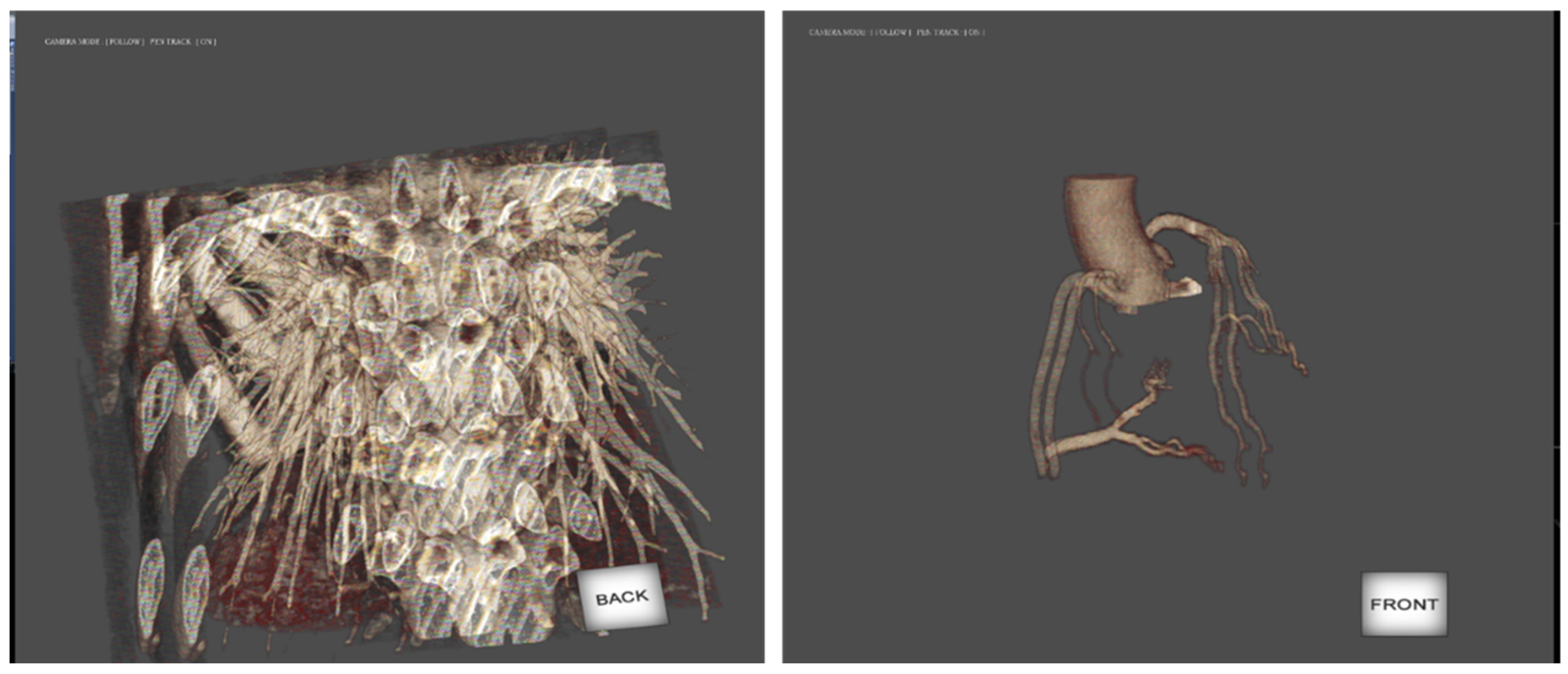 Applsci 12 04288 g013 550