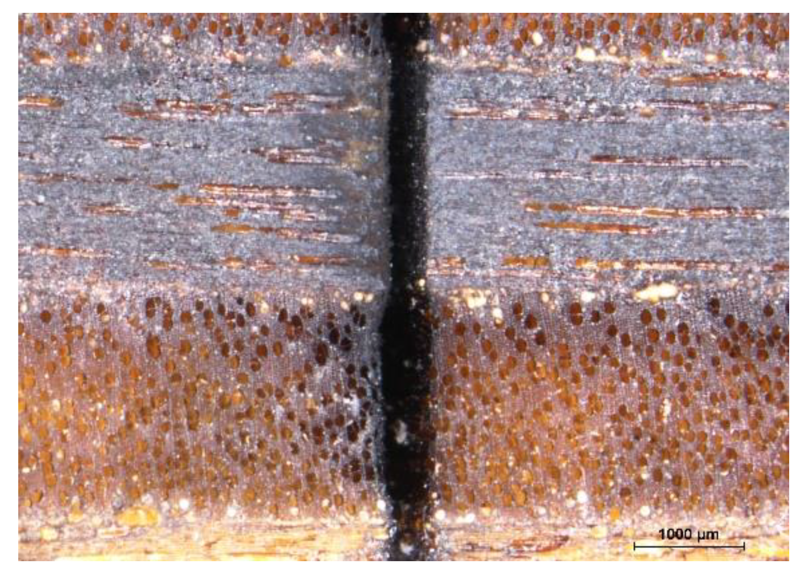 Applsci 12 04303 g005