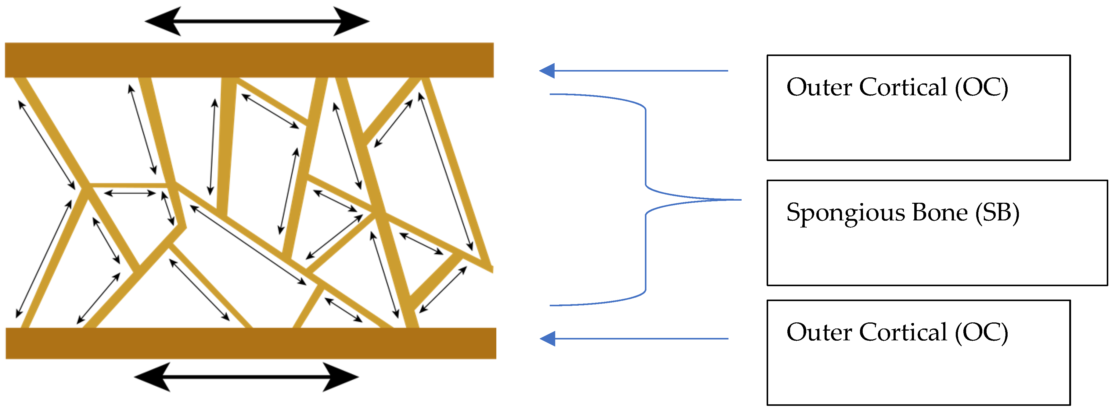 Peri-Implantitis: A New Definition Proposal Based on