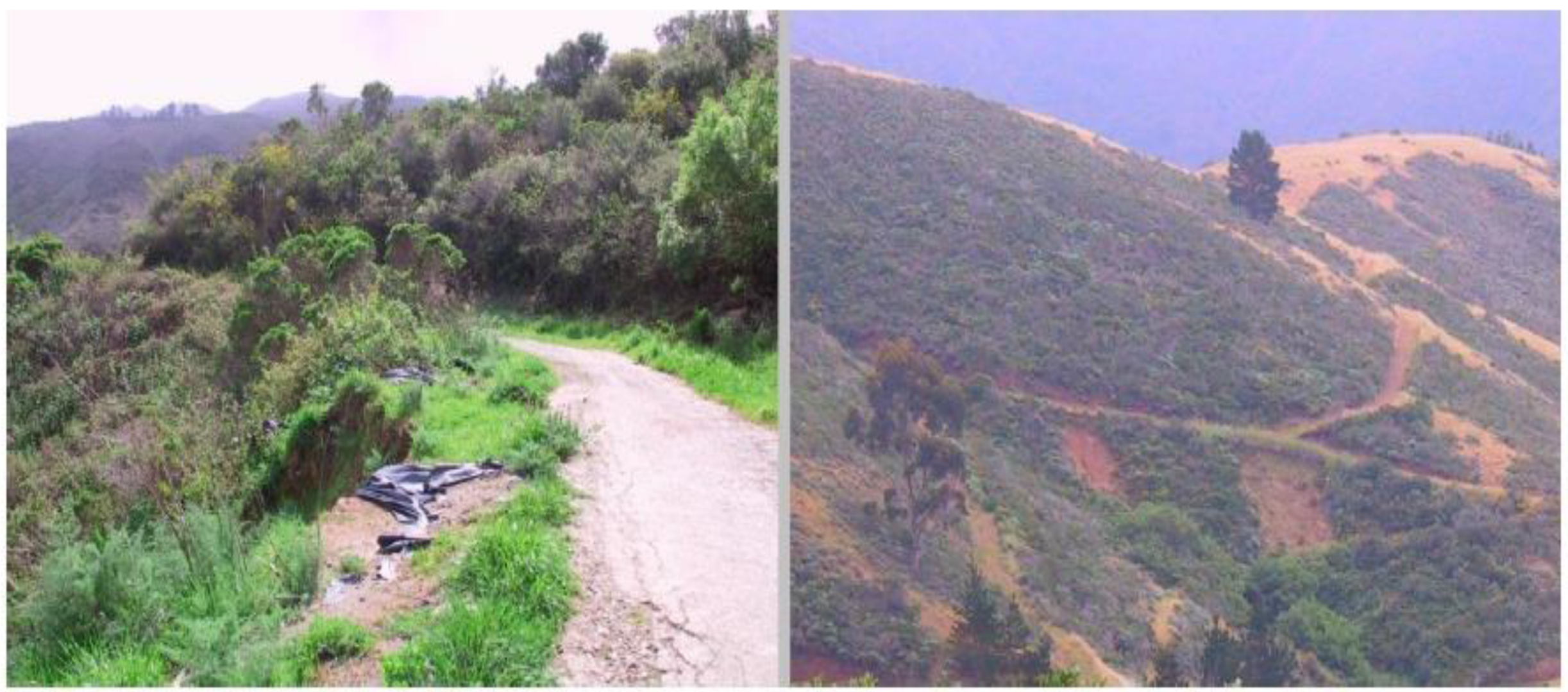 Applsci 12 04333 g020