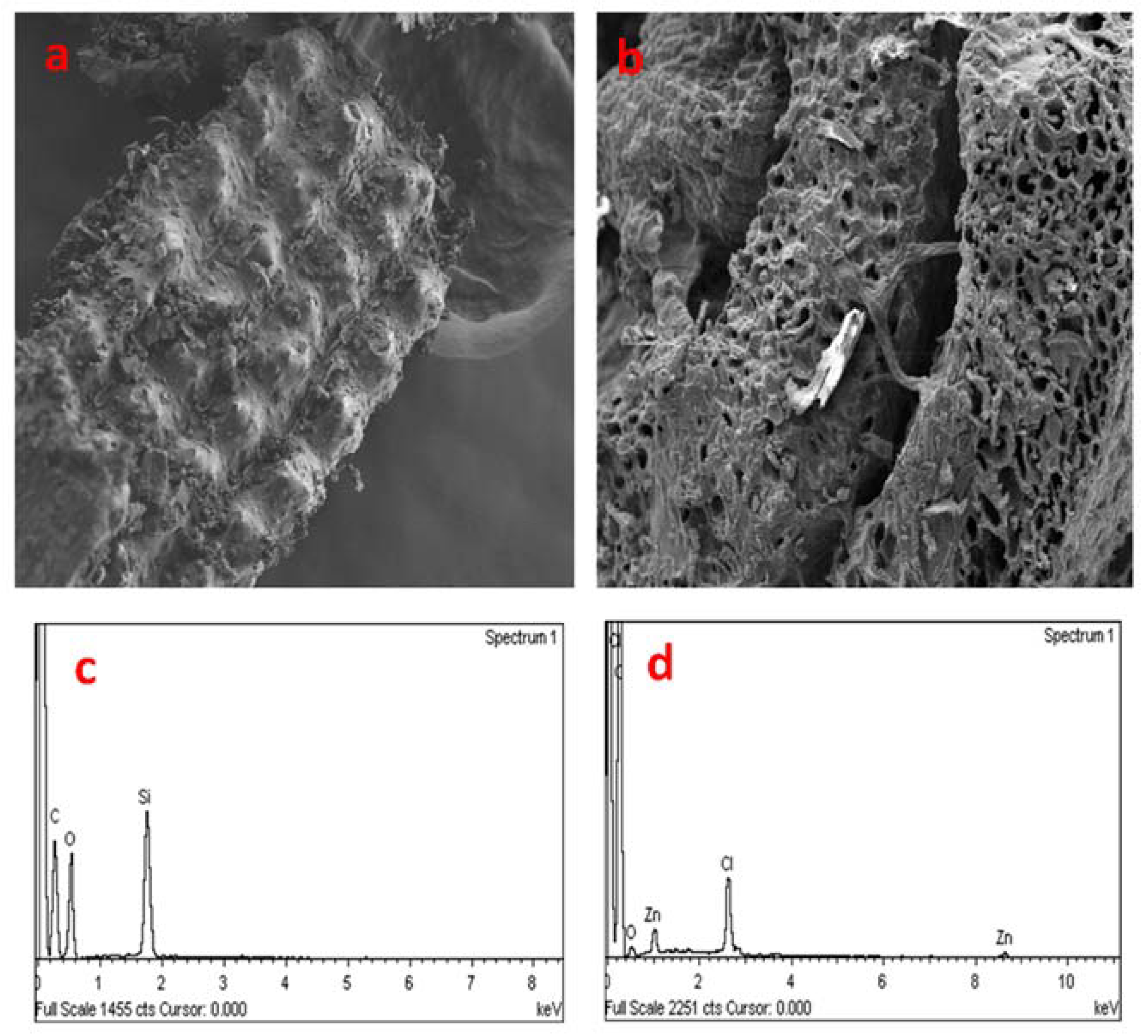 Applsci 12 04354 g001