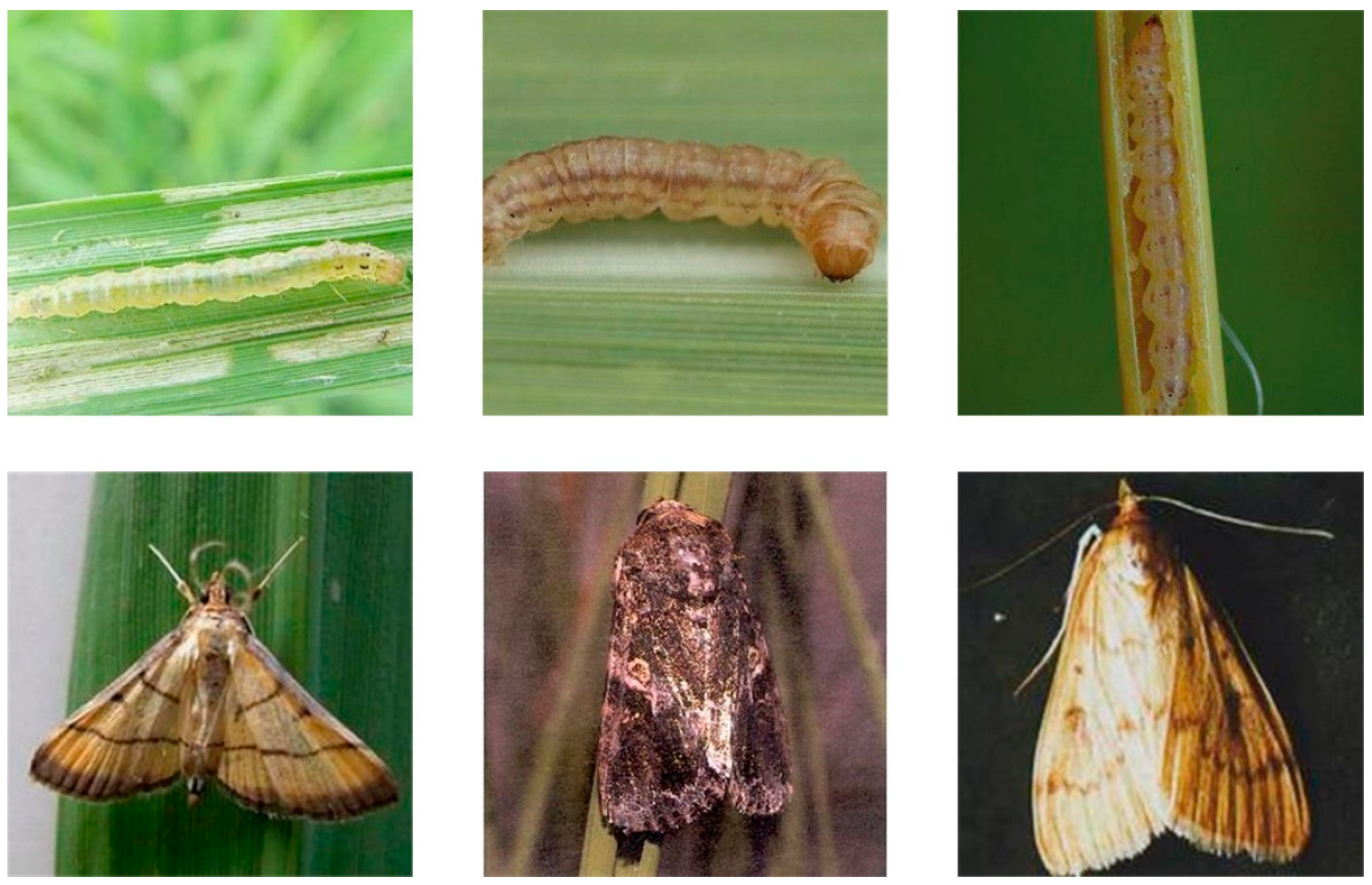 Applsci 12 04356 g004