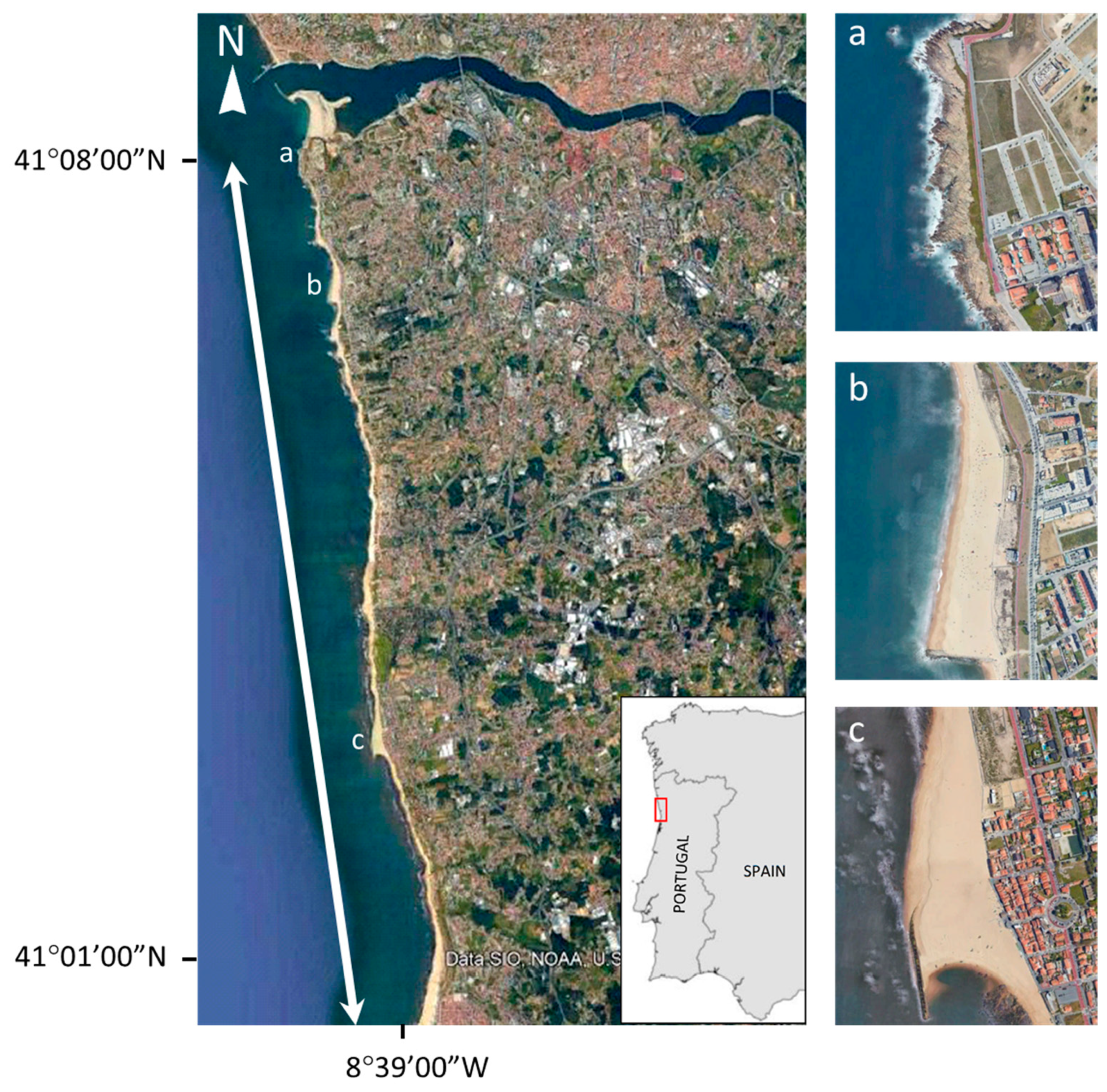 Applsci 12 04365 g001 550