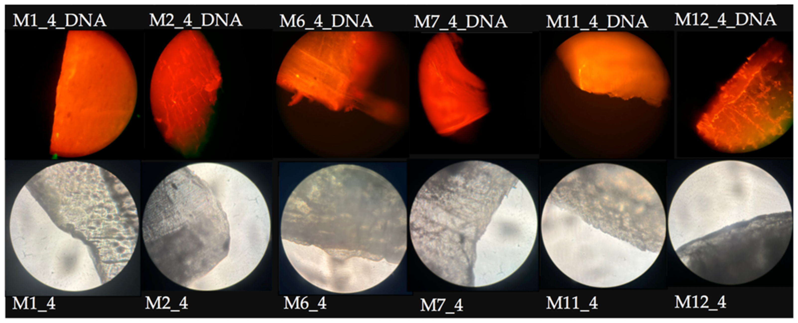 Applsci 12 04371 g009