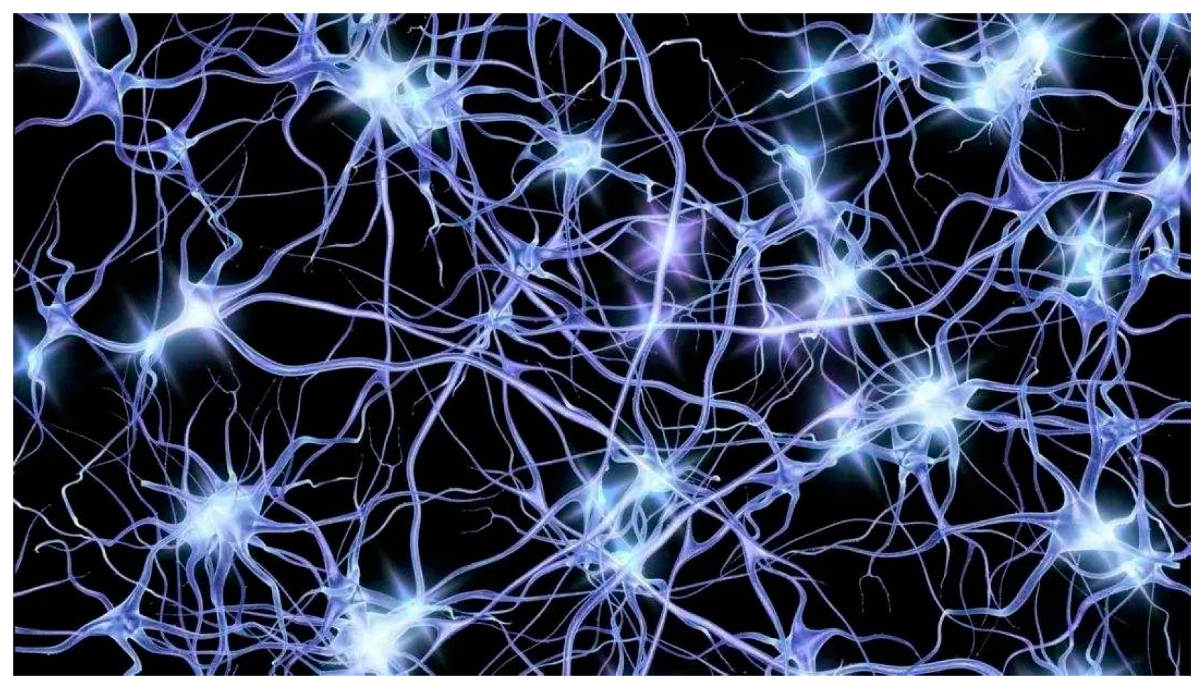 Applsci 12 04392 g007 550