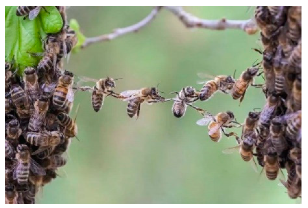 Applsci 12 04392 g011 550