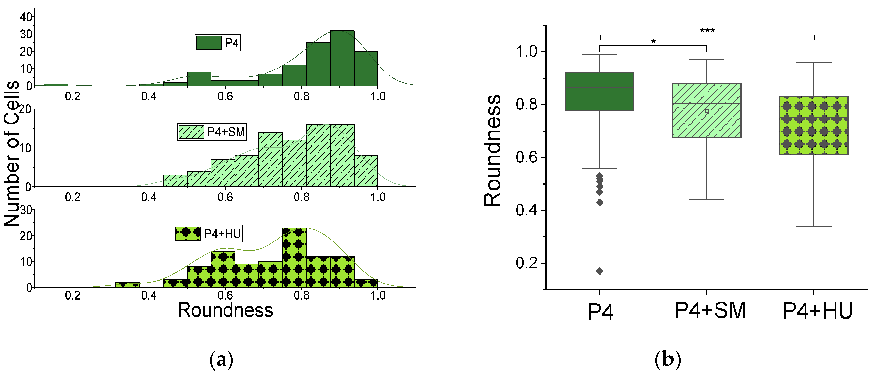 Applsci 12 04394 g004