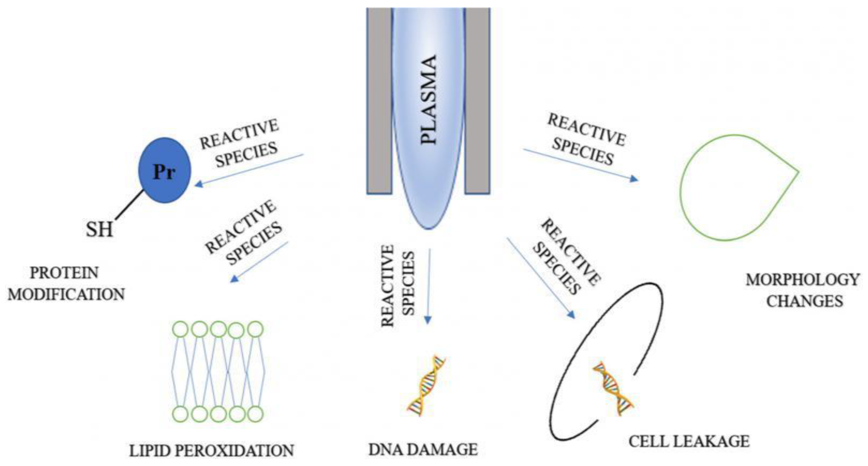 Applsci 12 04405 g005 Applsci 12 04405 g005