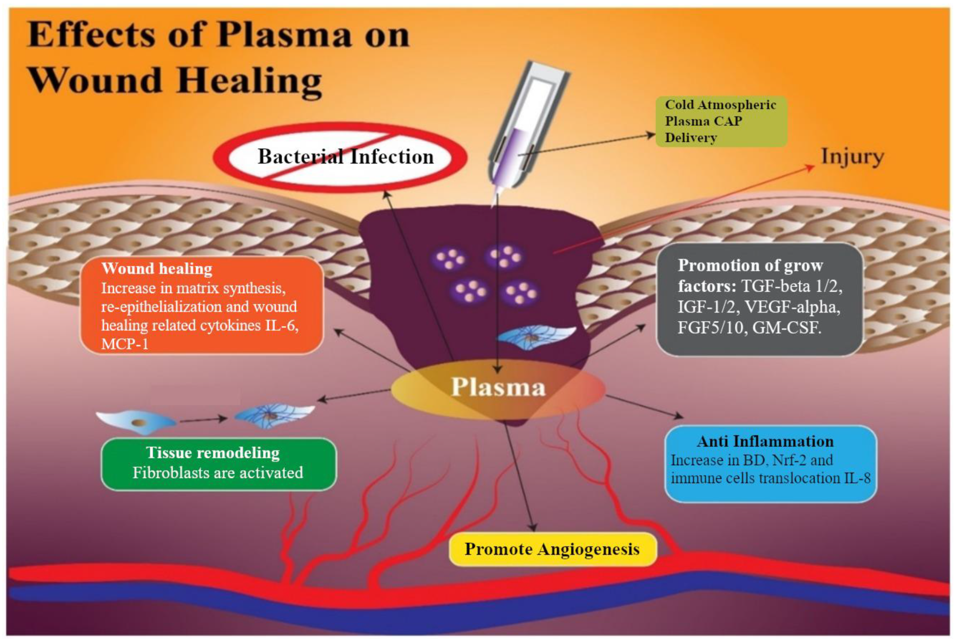 Applsci 12 04405 g006 Applsci 12 04405 g006