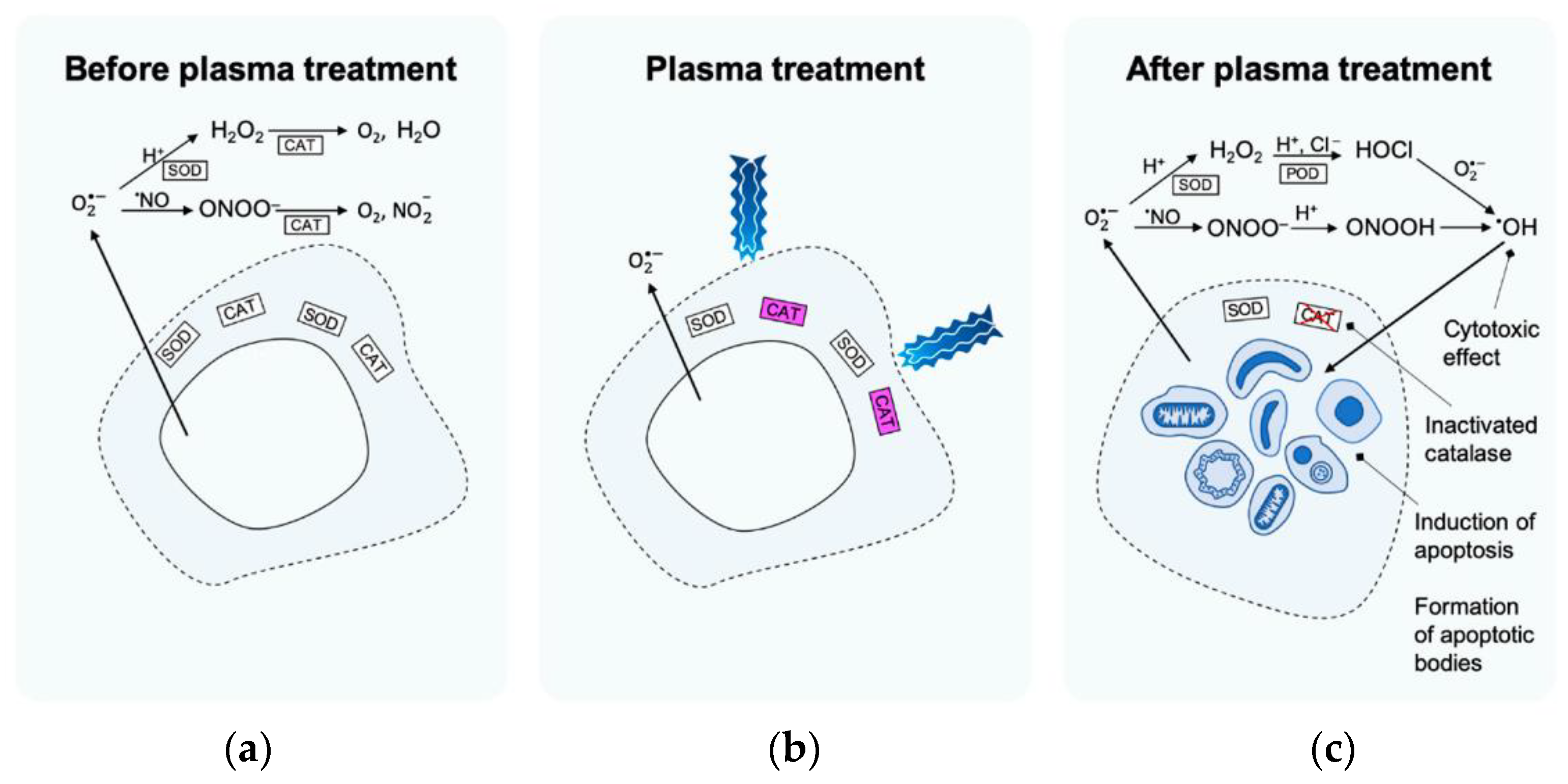 Applsci 12 04405 g008 Applsci 12 04405 g008