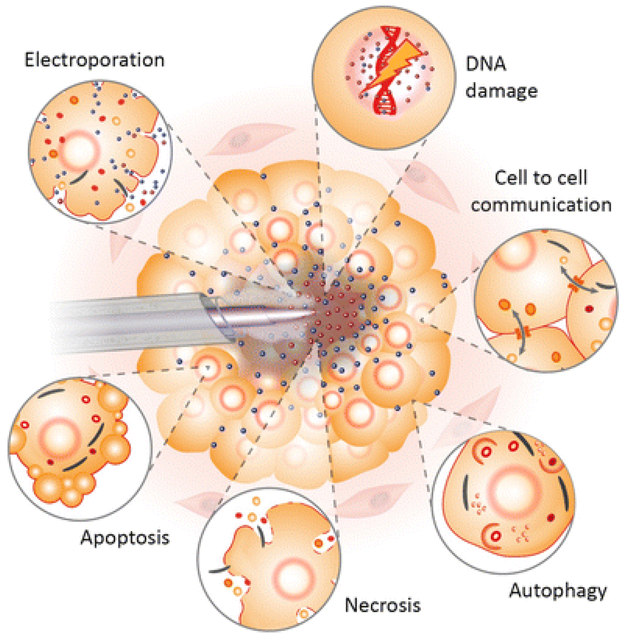 Applsci 12 04405 g009 Applsci 12 04405 g009