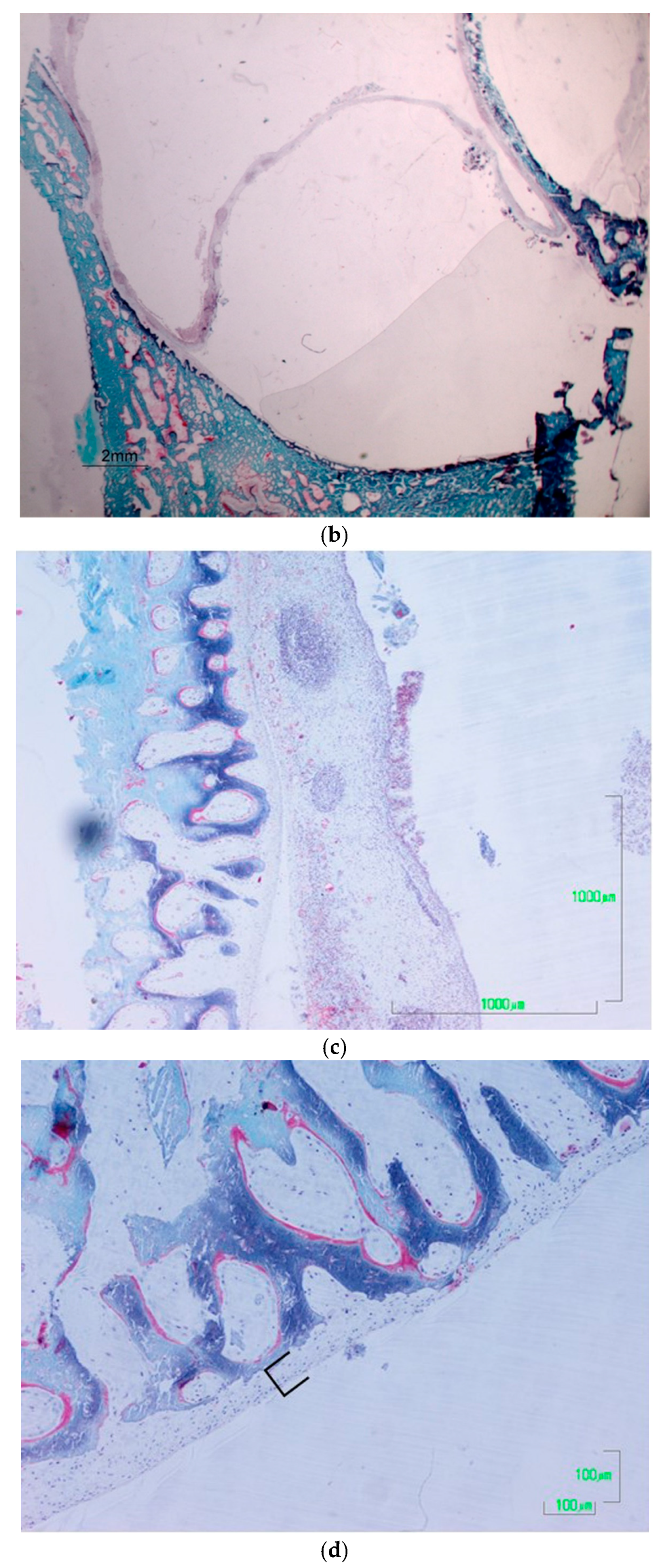 Applsci 12 04406 g002b