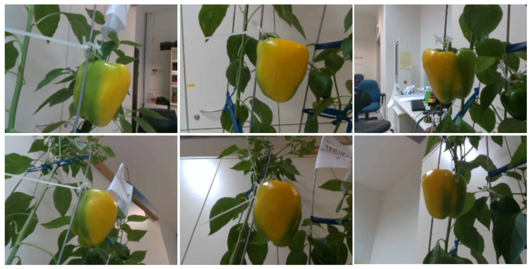 Applsci 12 04414 g001 550