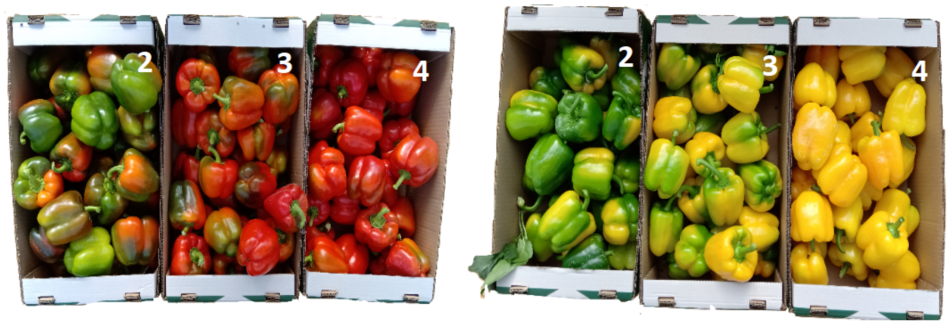 Applsci 12 04414 g002 550