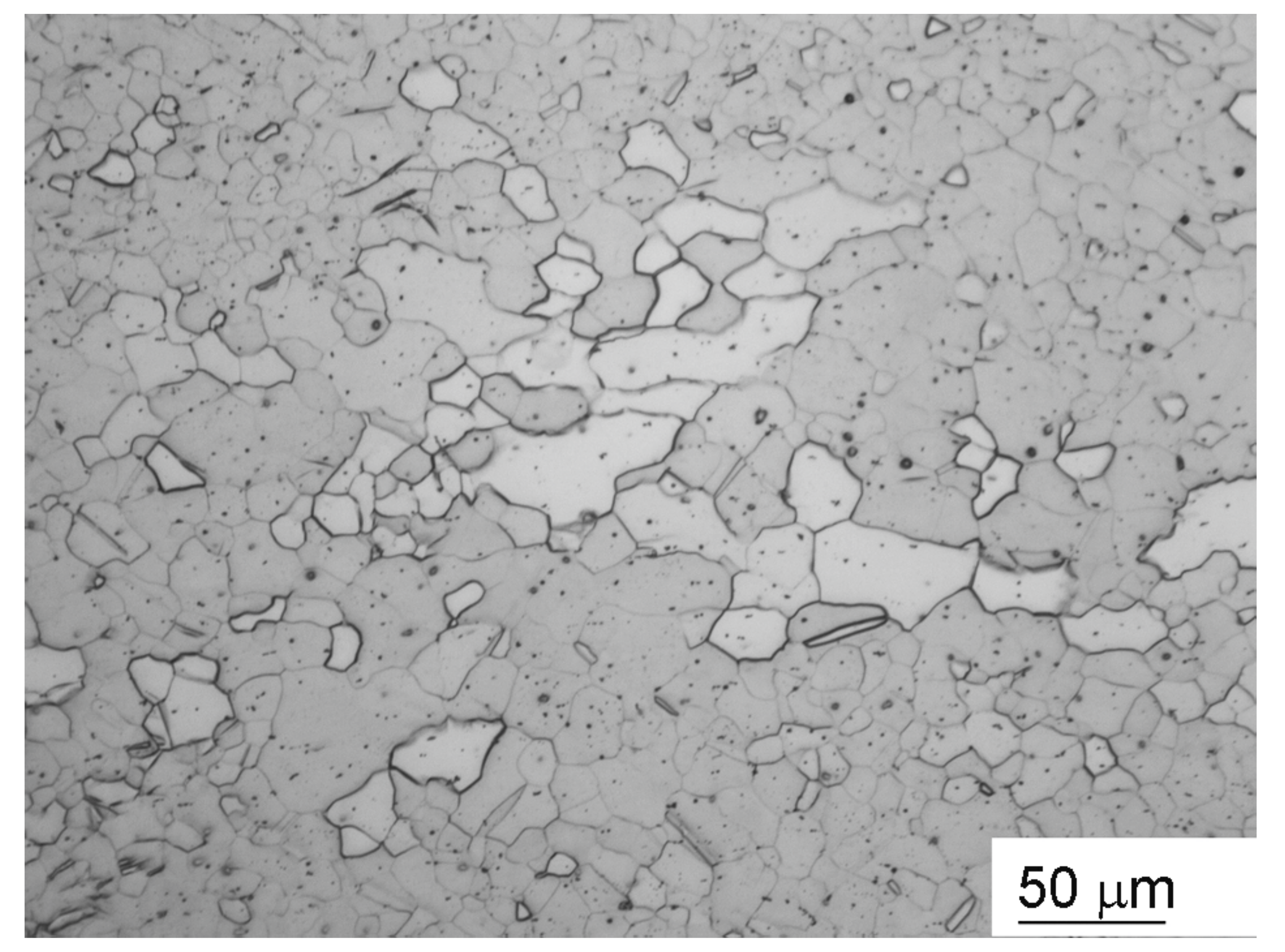 Microstructure of the ASTM A 36 steel samples: (a) sample