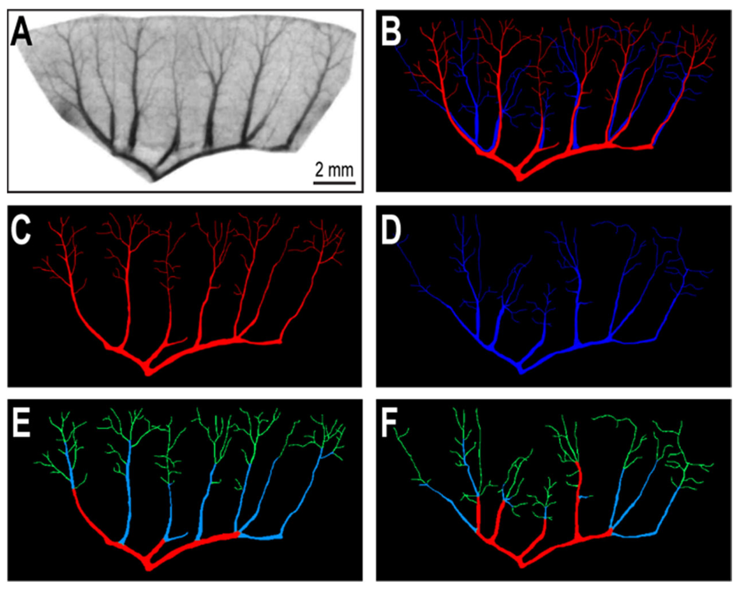 Applsci 12 04430 g001 Applsci 12 04430 g001