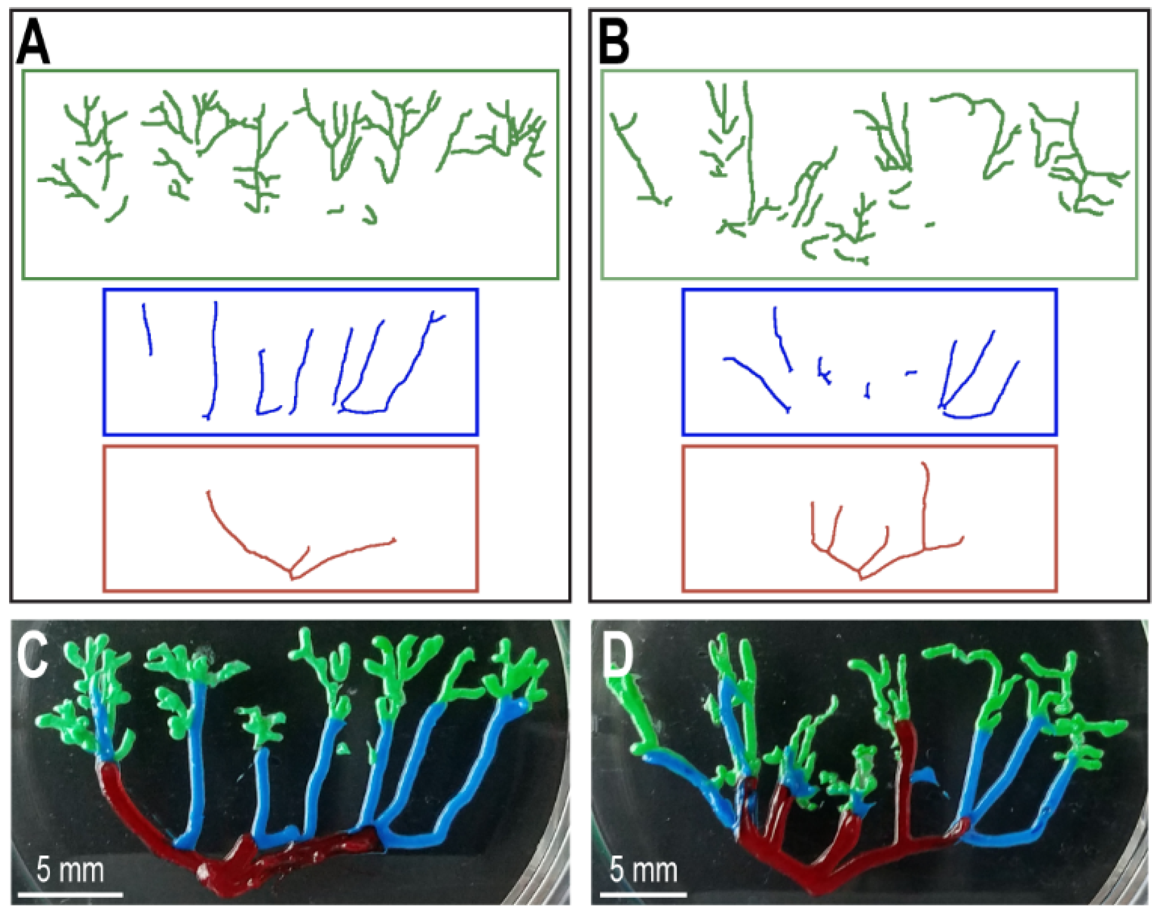 Applsci 12 04430 g002 Applsci 12 04430 g002