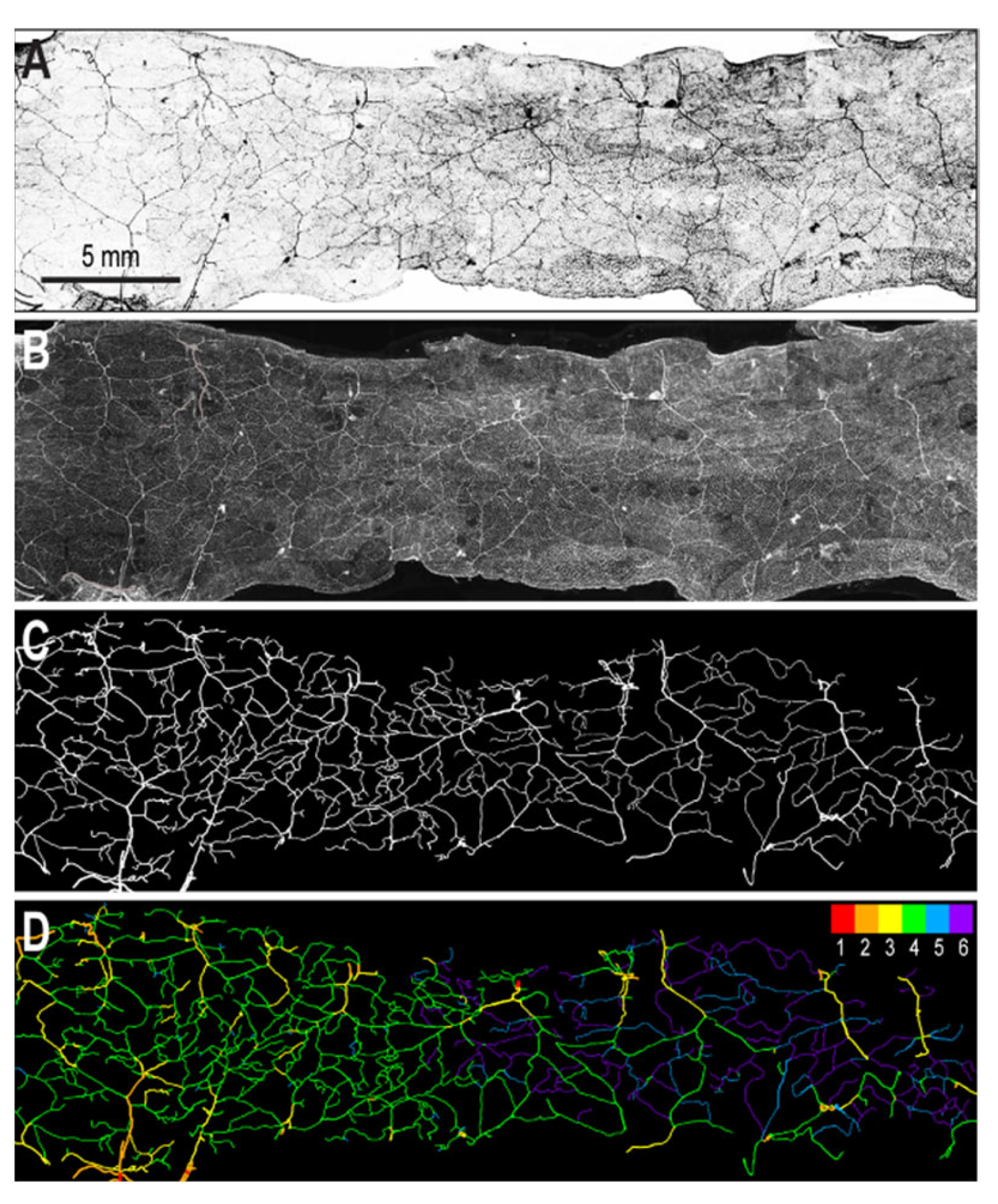 Applsci 12 04430 g003 Applsci 12 04430 g003