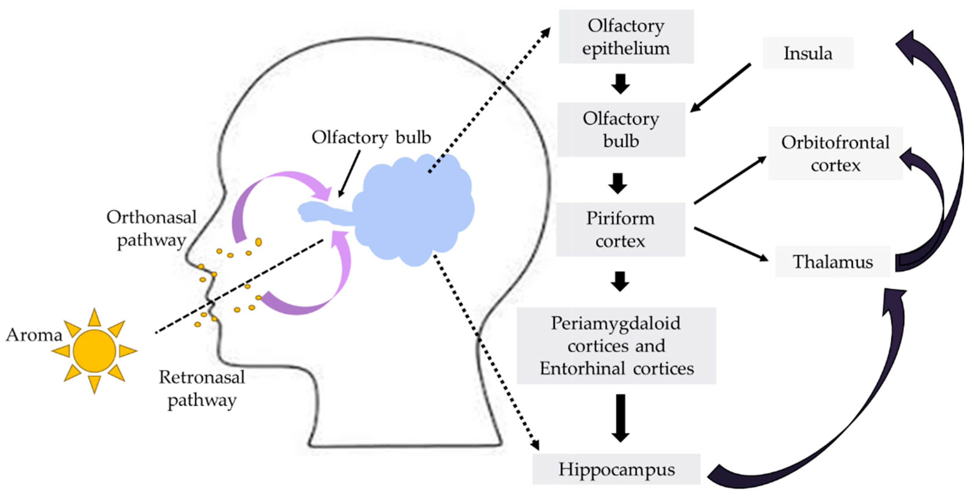 Applsci 12 04495 g002 550