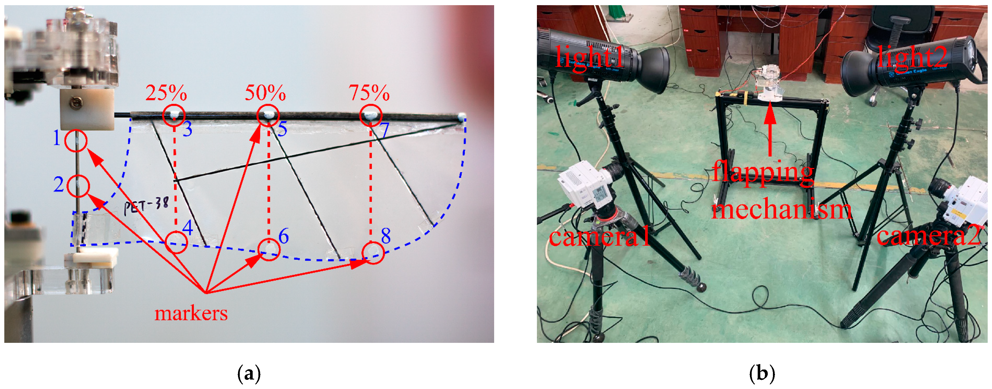 Applsci 12 04501 g005