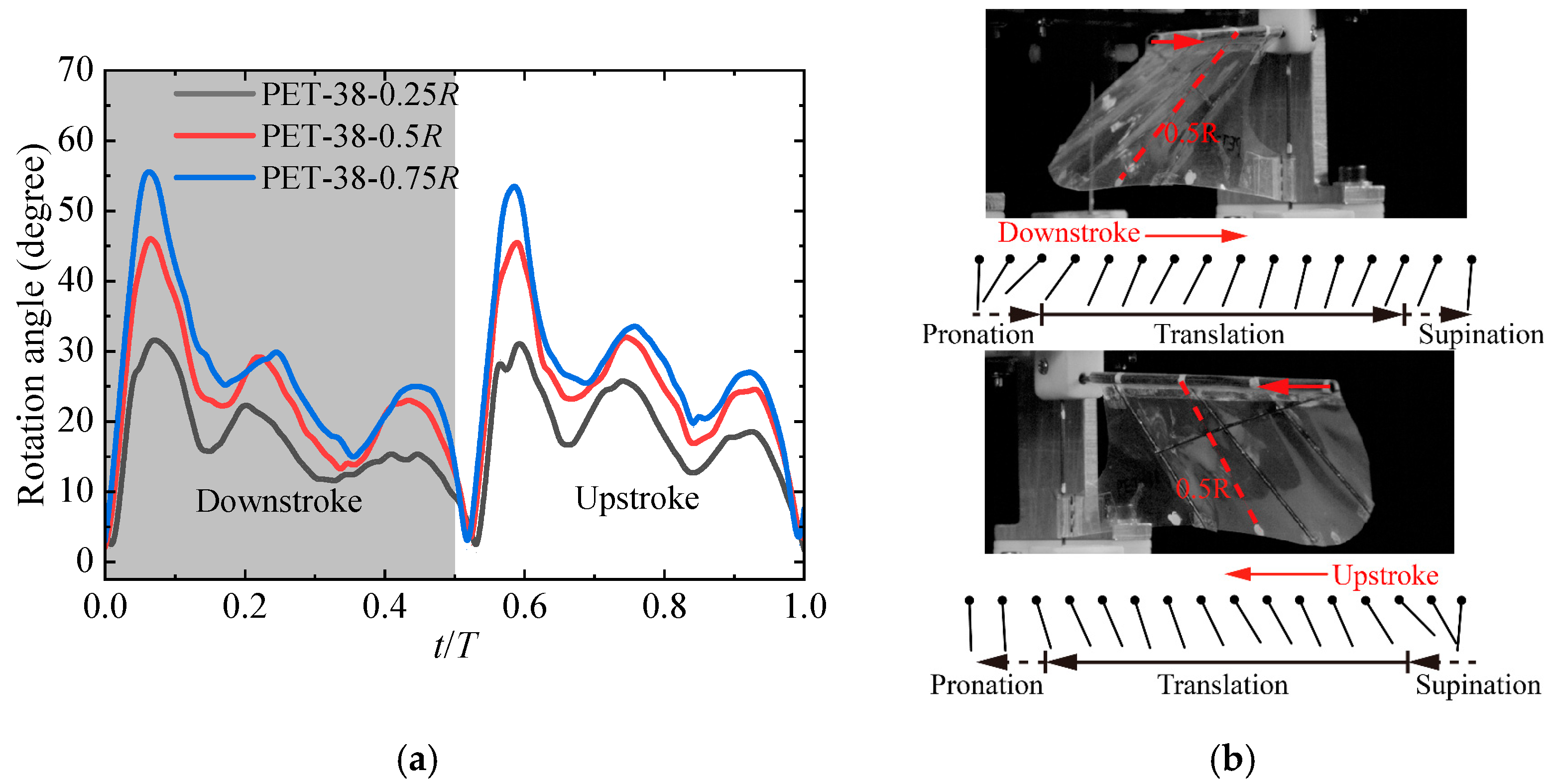 Applsci 12 04501 g009