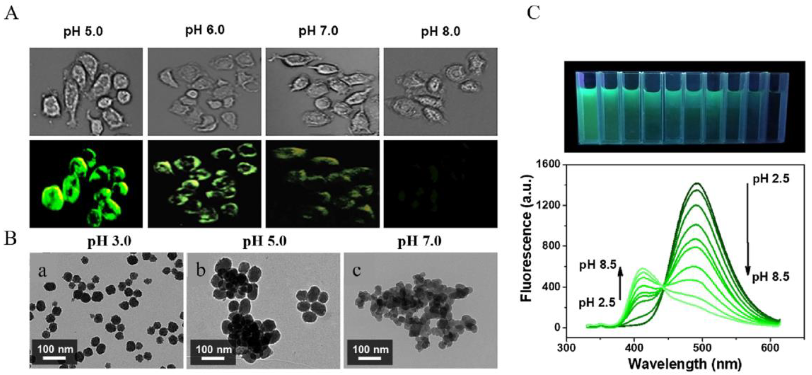 Applsci 12 04560 g004