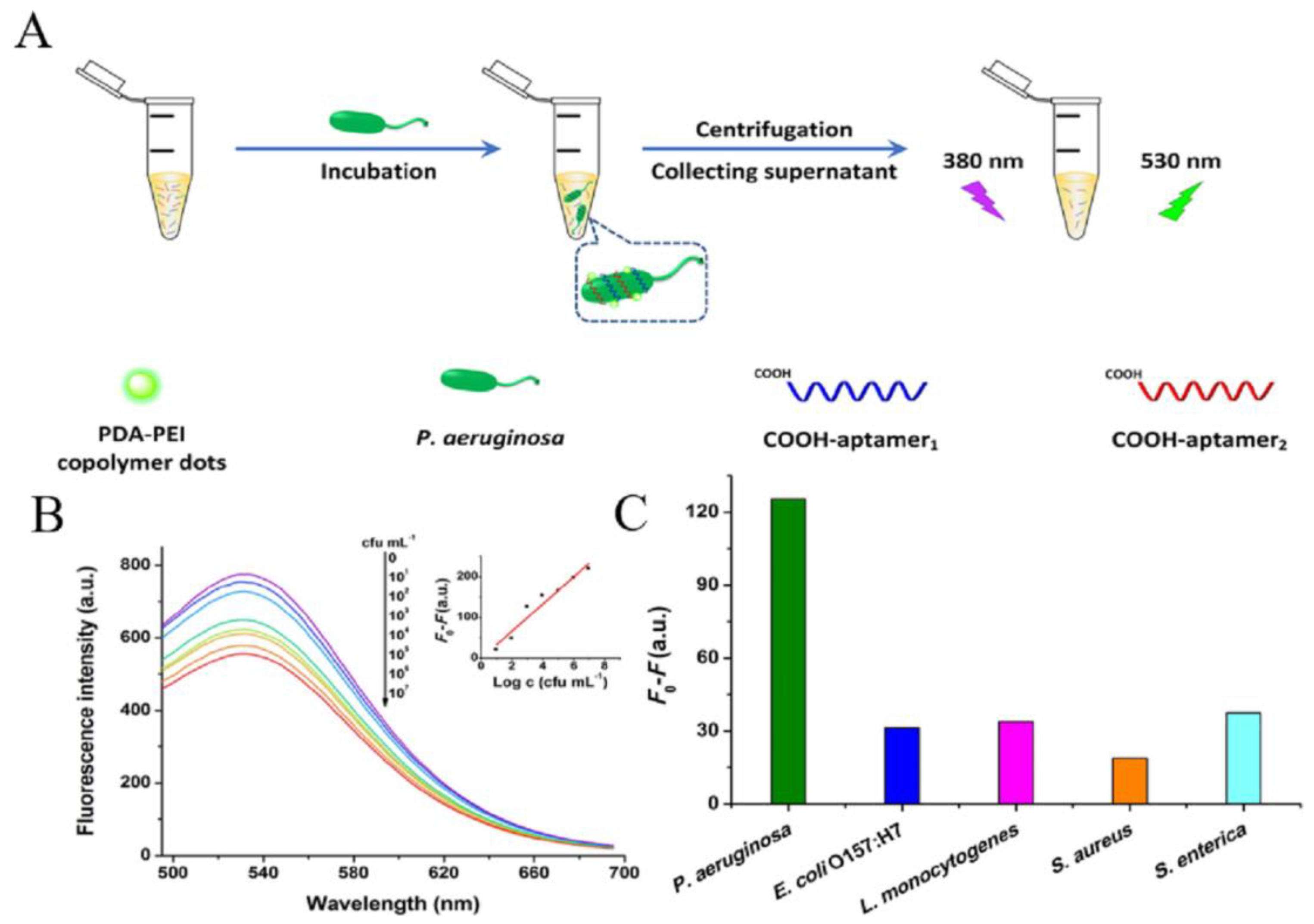 Applsci 12 04560 g006