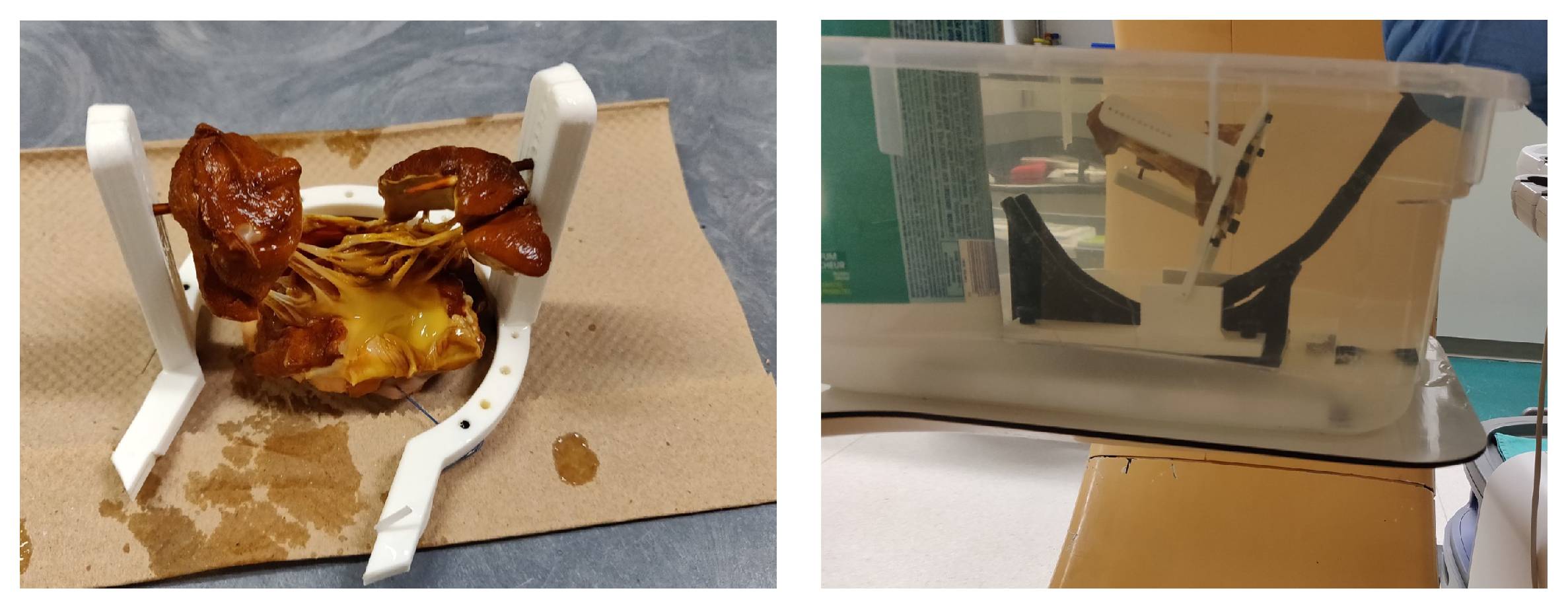 Applsci 12 04562 g005