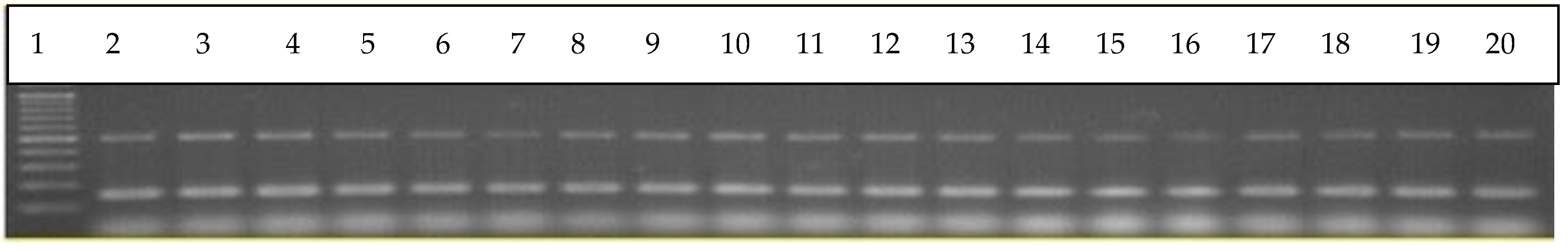 Applsci 12 04579 g002 550