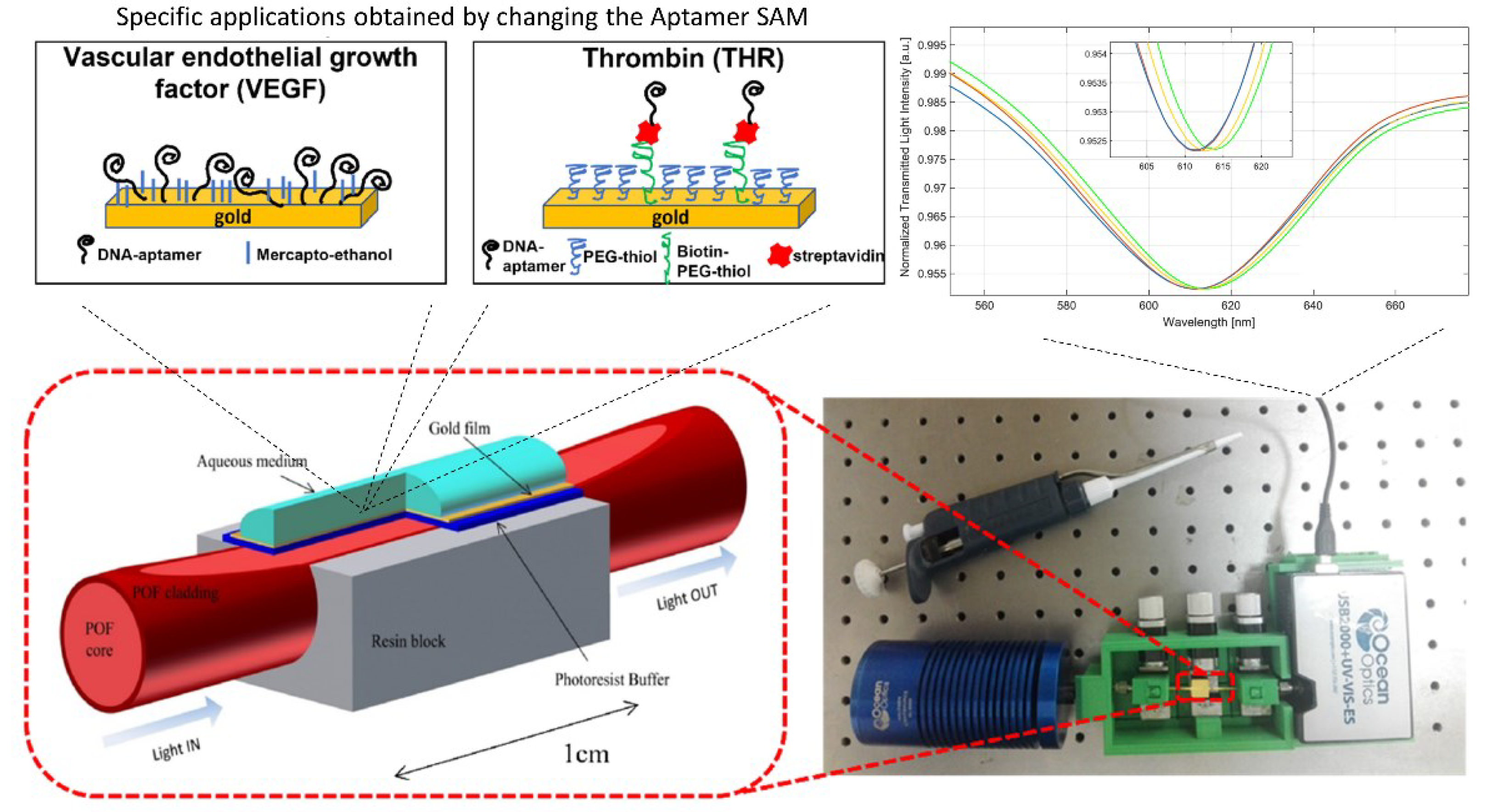 Applsci 12 04584 g004