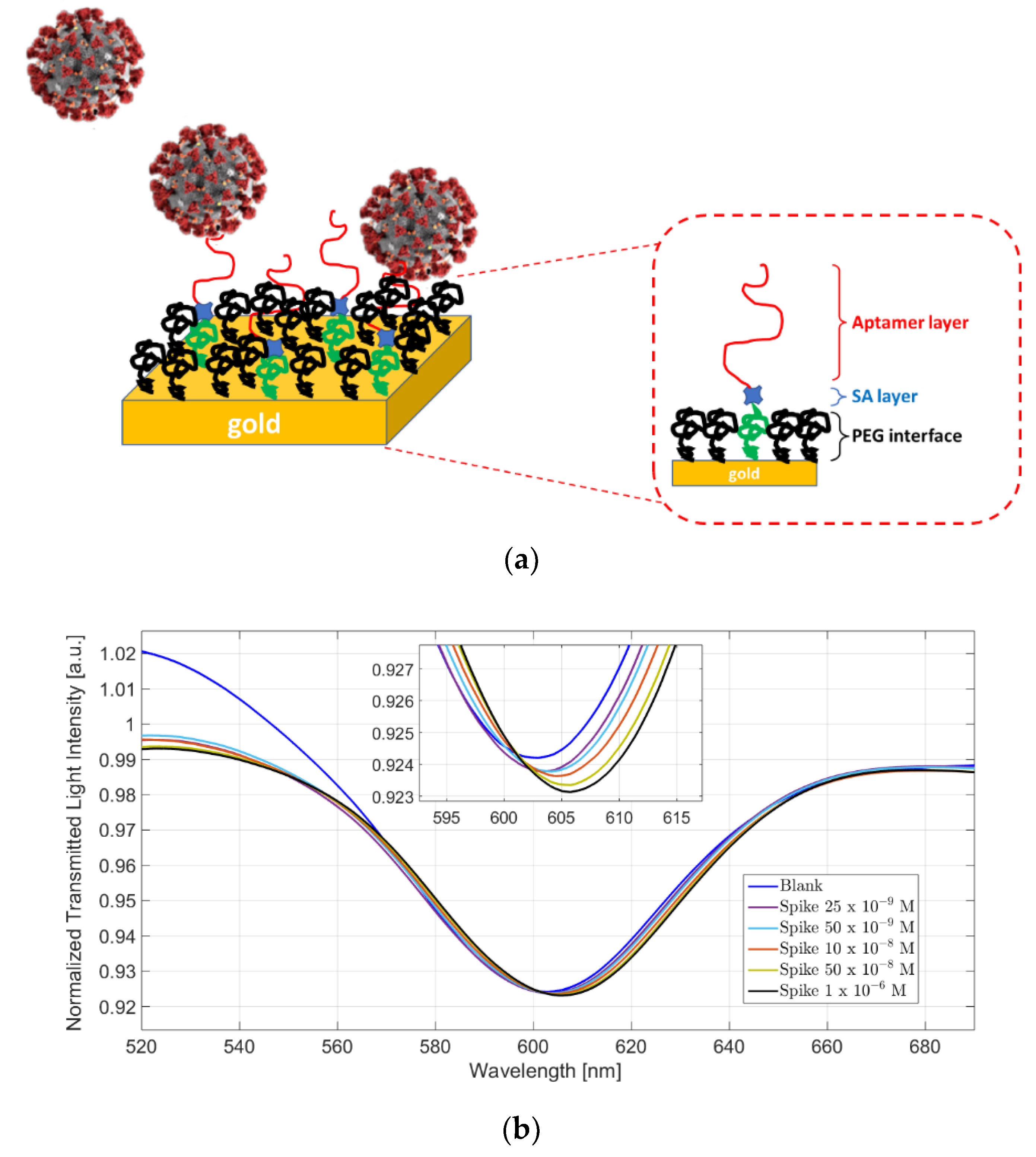 Applsci 12 04584 g006a