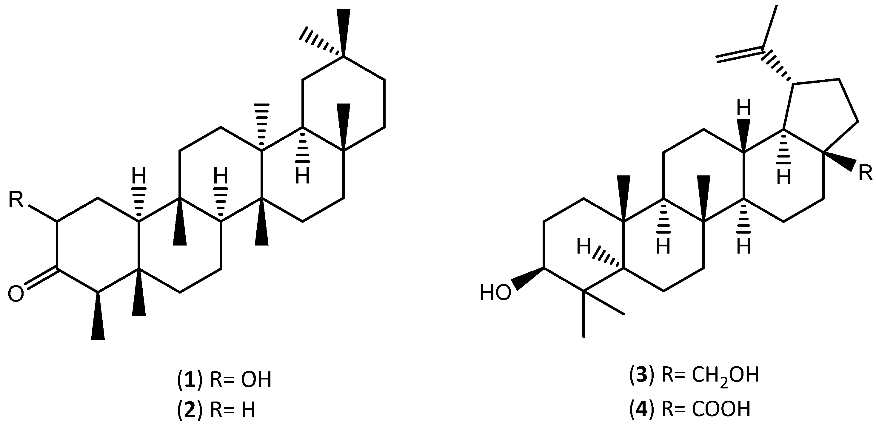 Applsci 12 04604 g002a