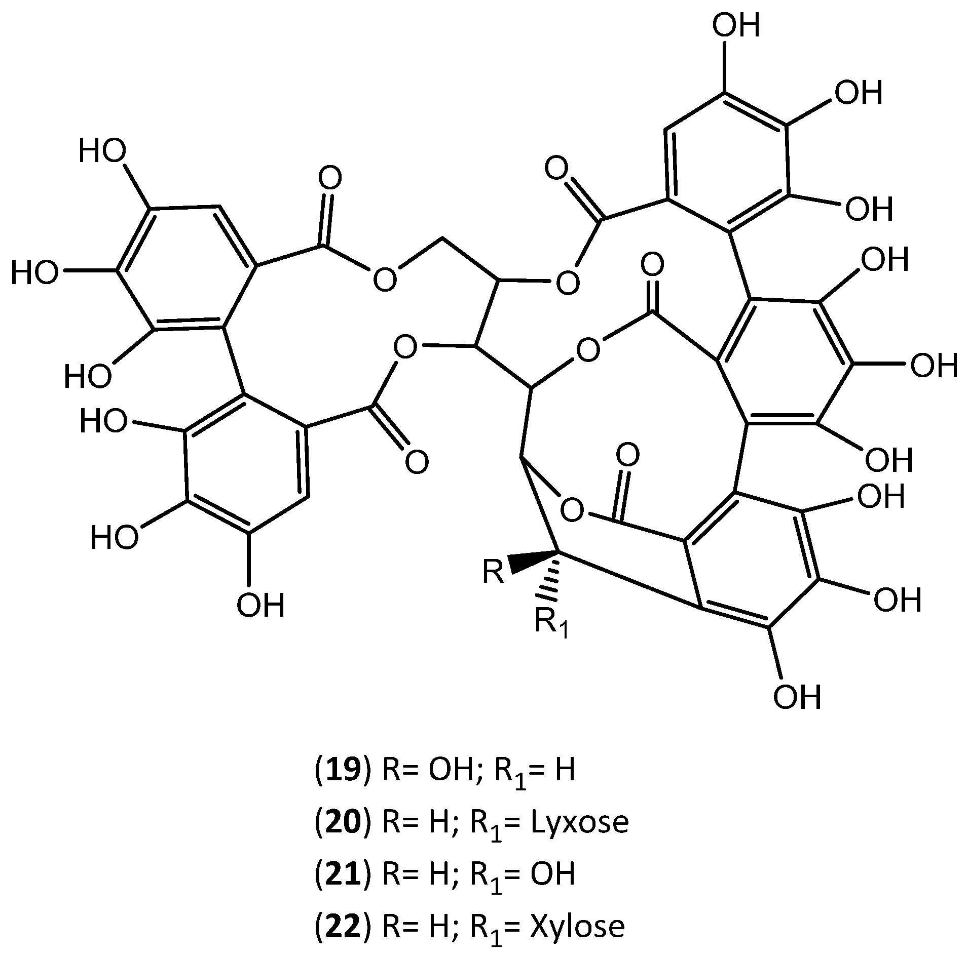 Applsci 12 04604 g004