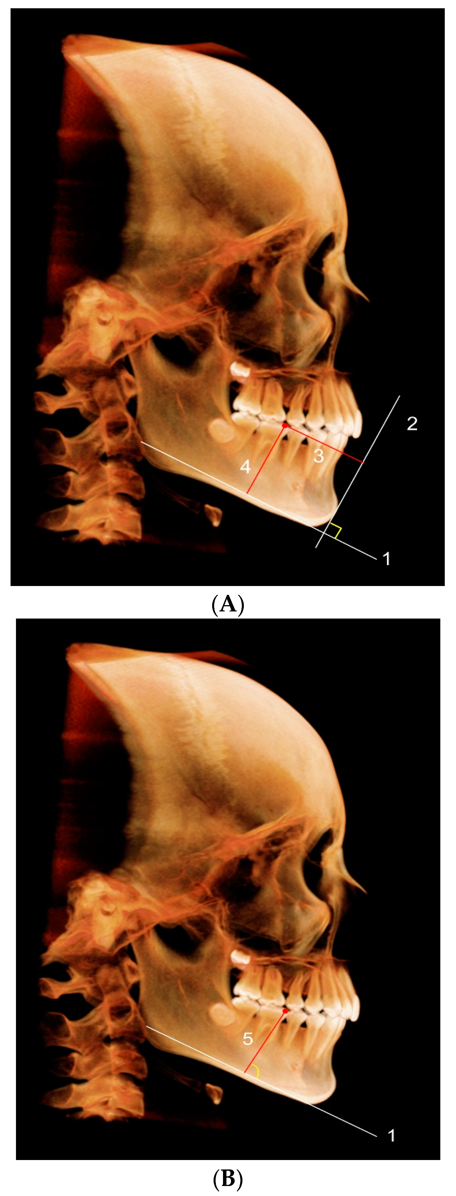 Applsci 12 04613 g003a Applsci 12 04613 g003a