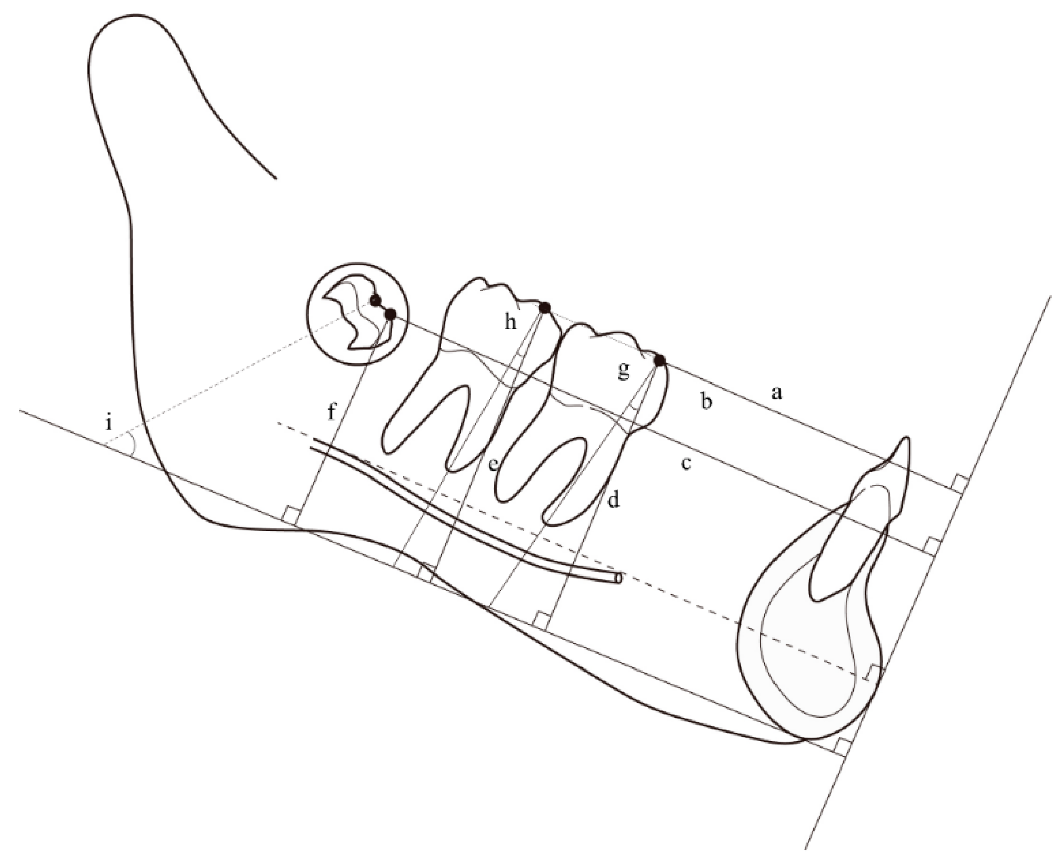 Applsci 12 04613 g004 Applsci 12 04613 g004