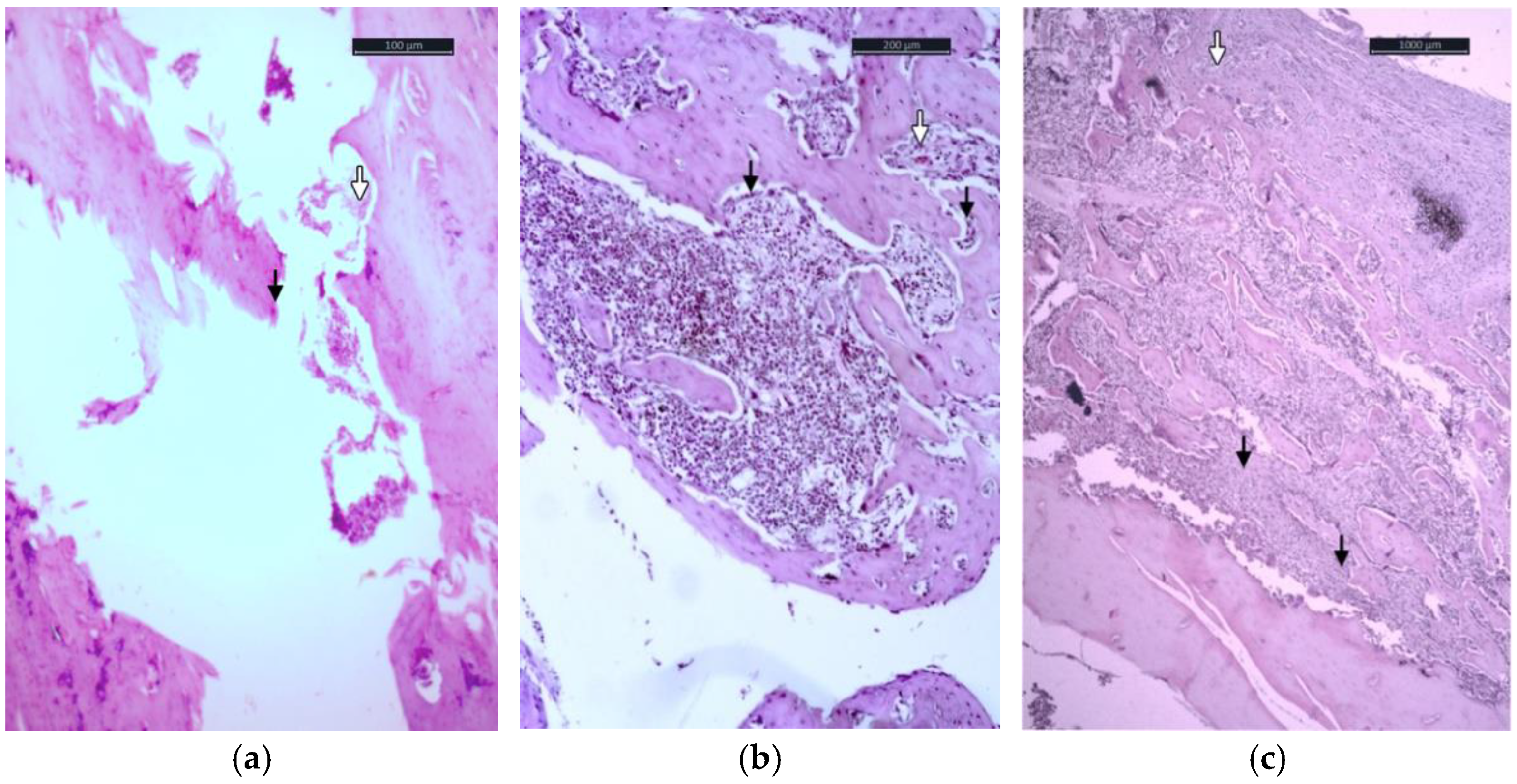 Applsci 12 04617 g001