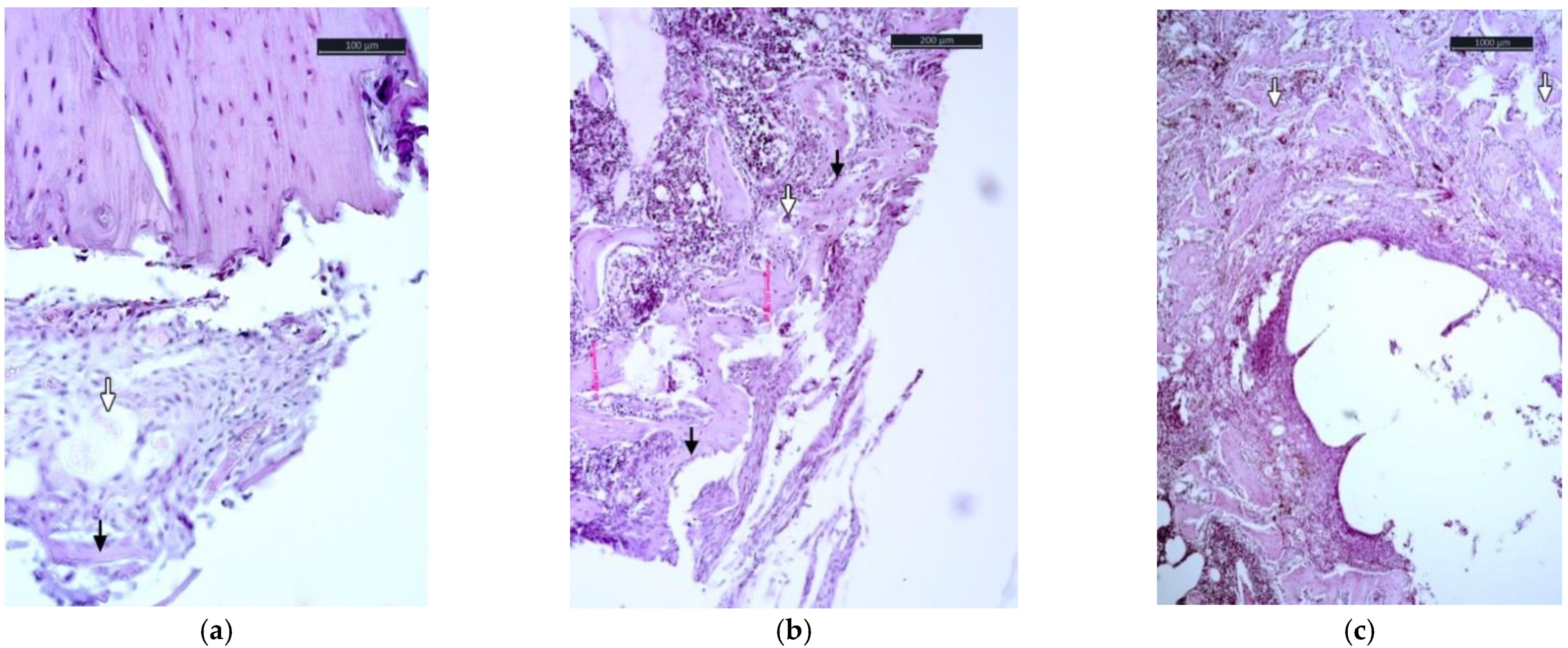 Applsci 12 04617 g002