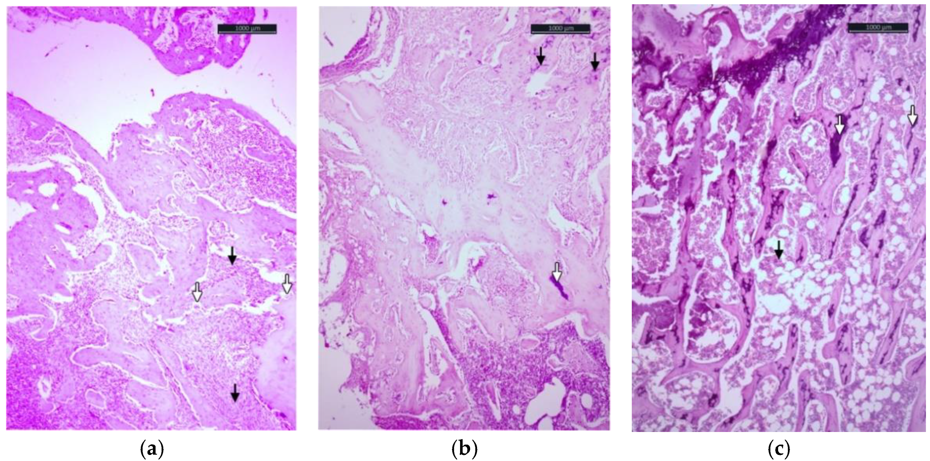 Applsci 12 04617 g003