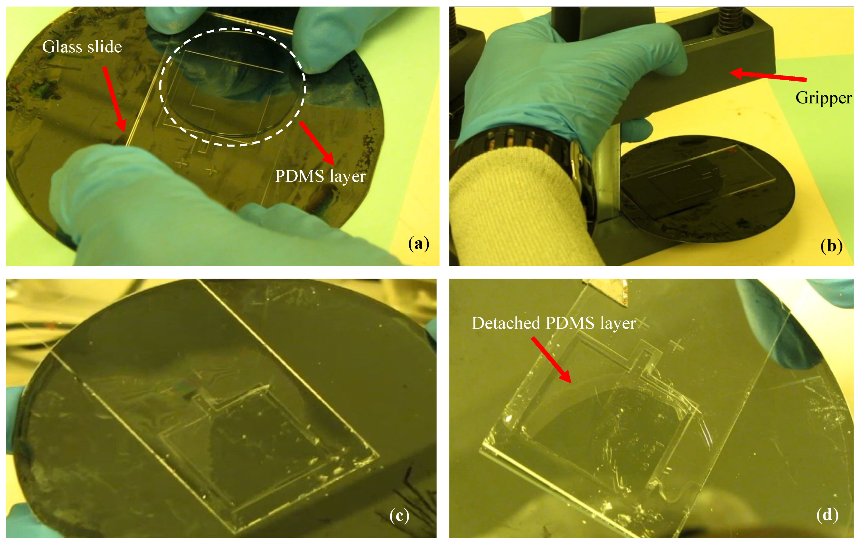 Applsci 12 04626 g005